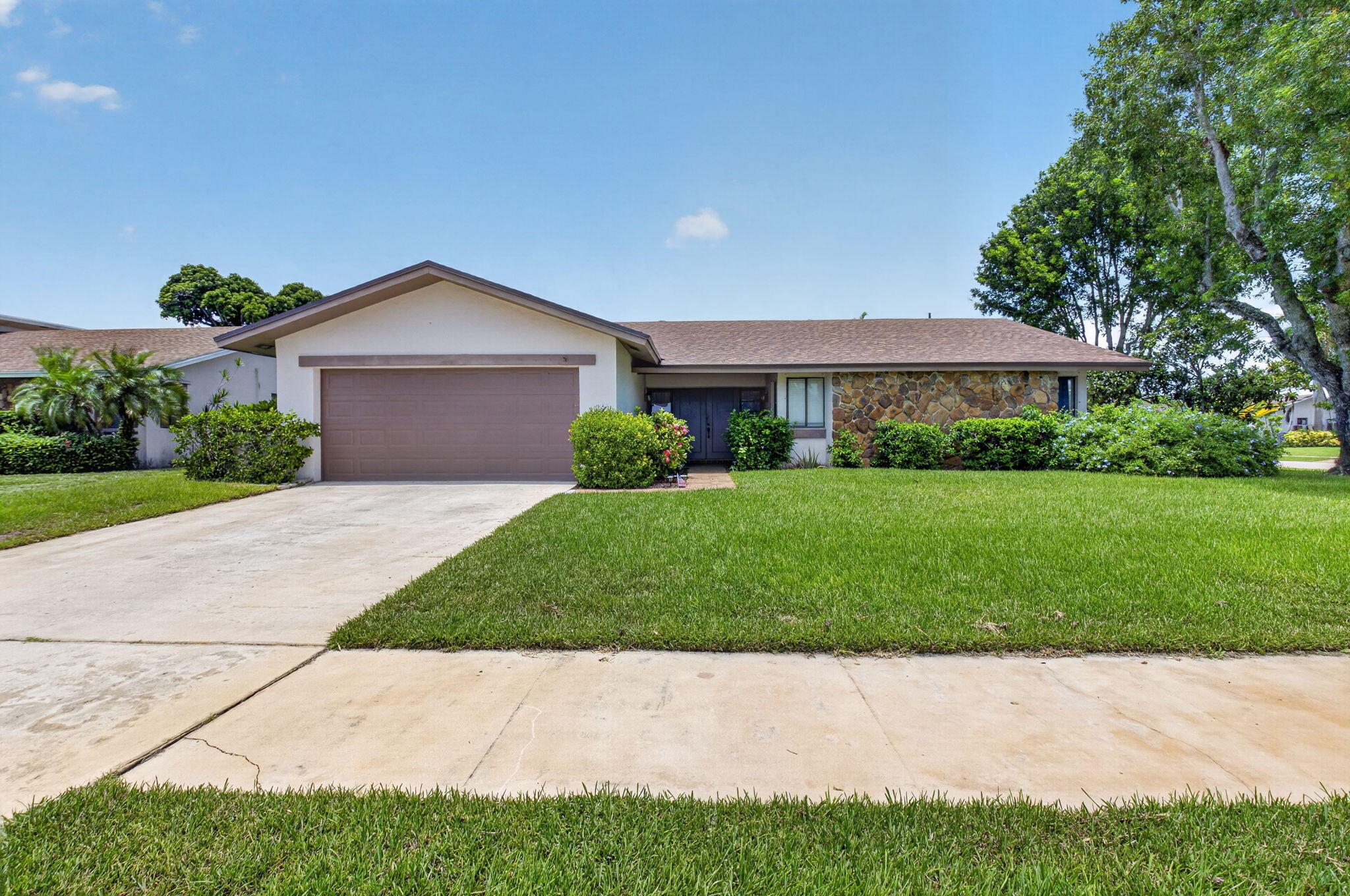 17667 Pine Needle