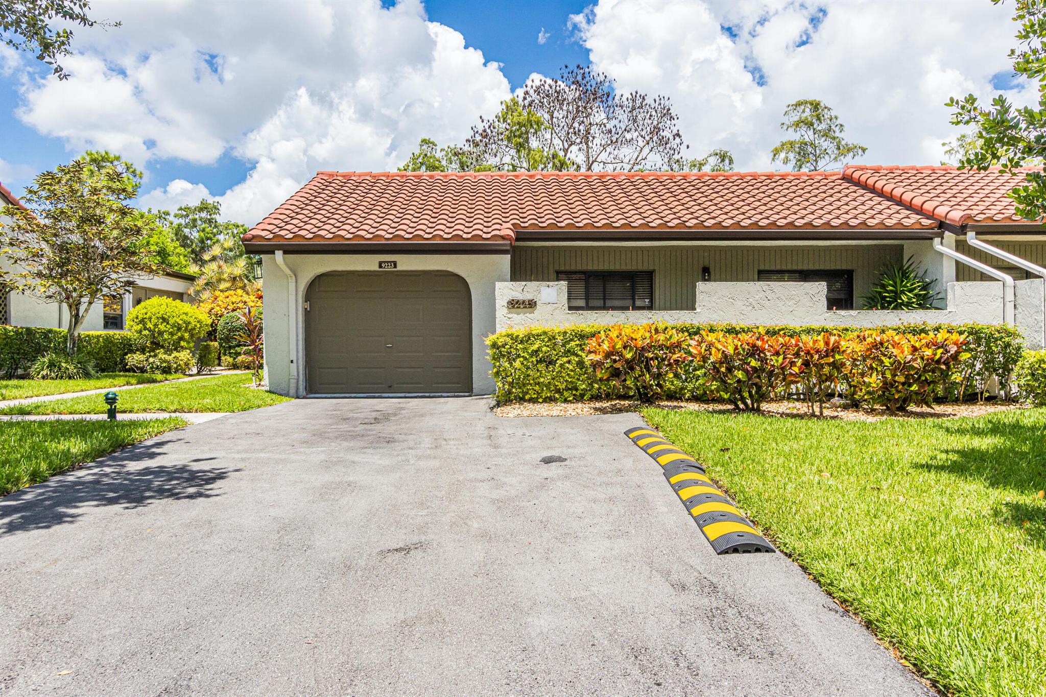 9223 Pecky Cypress #10a