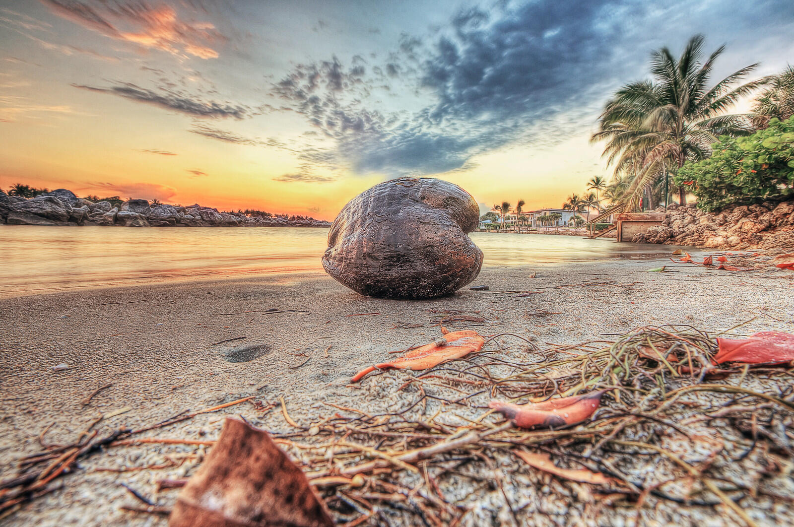 234 Shelter Jupiter, FL 33469