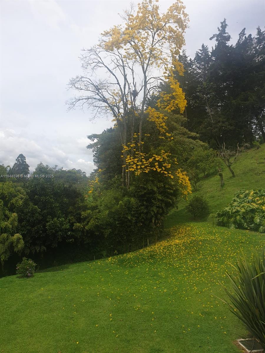 100 Finca La Cayeta Llanogrande Medellin Col 