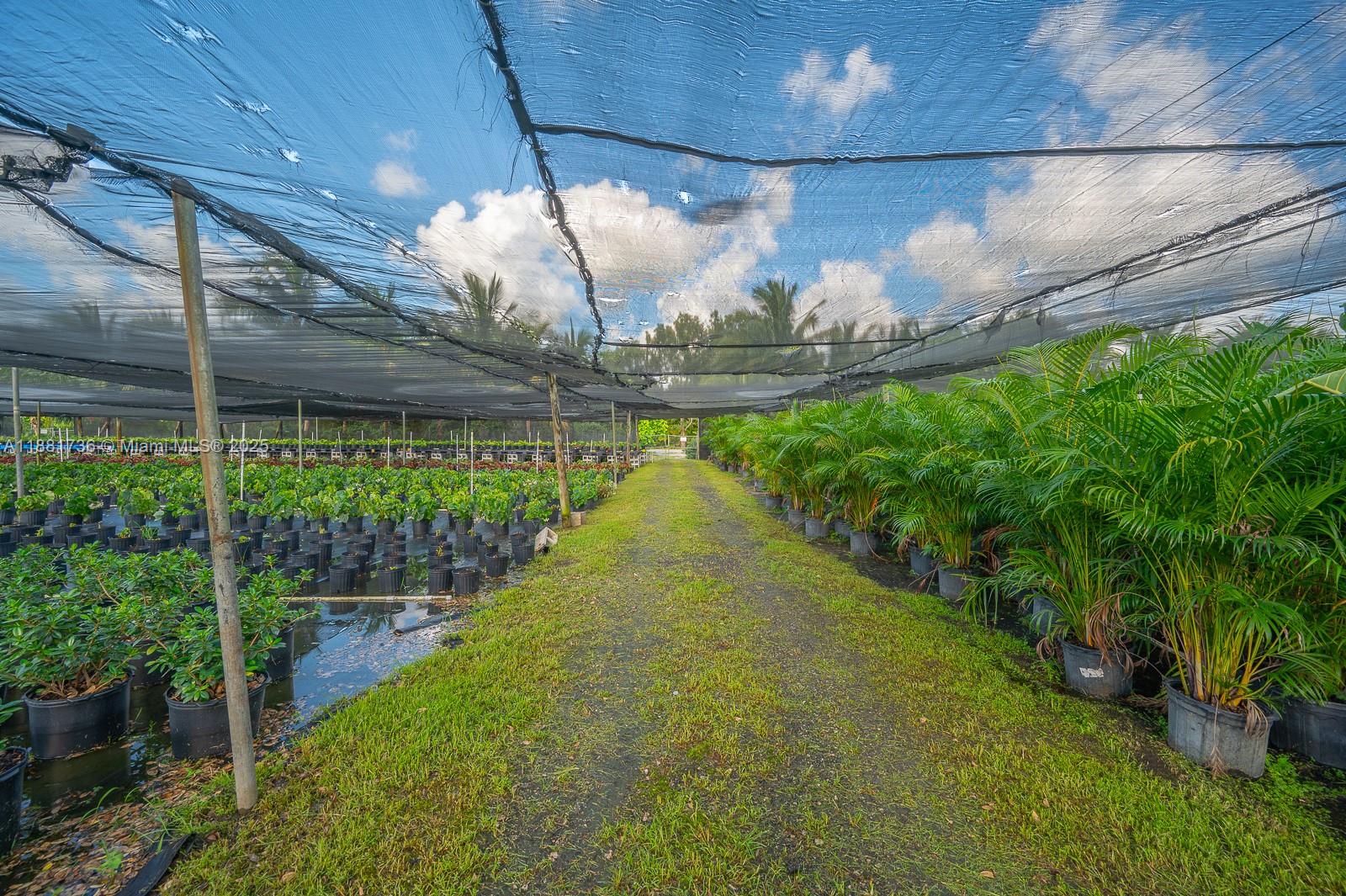 20750 SW 256th St Homestead, FL 33031