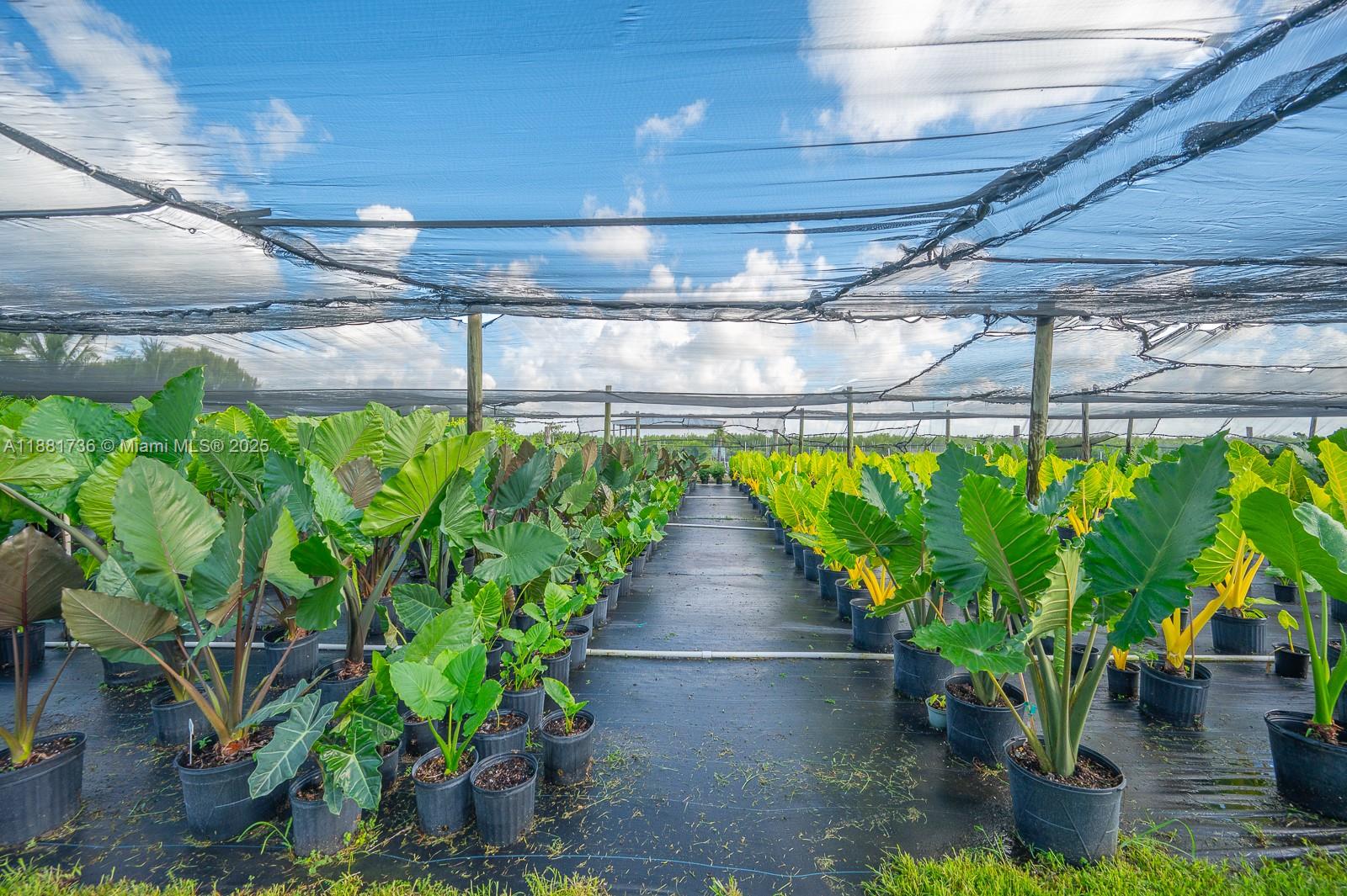 20750 SW 256th St Homestead, FL 33031