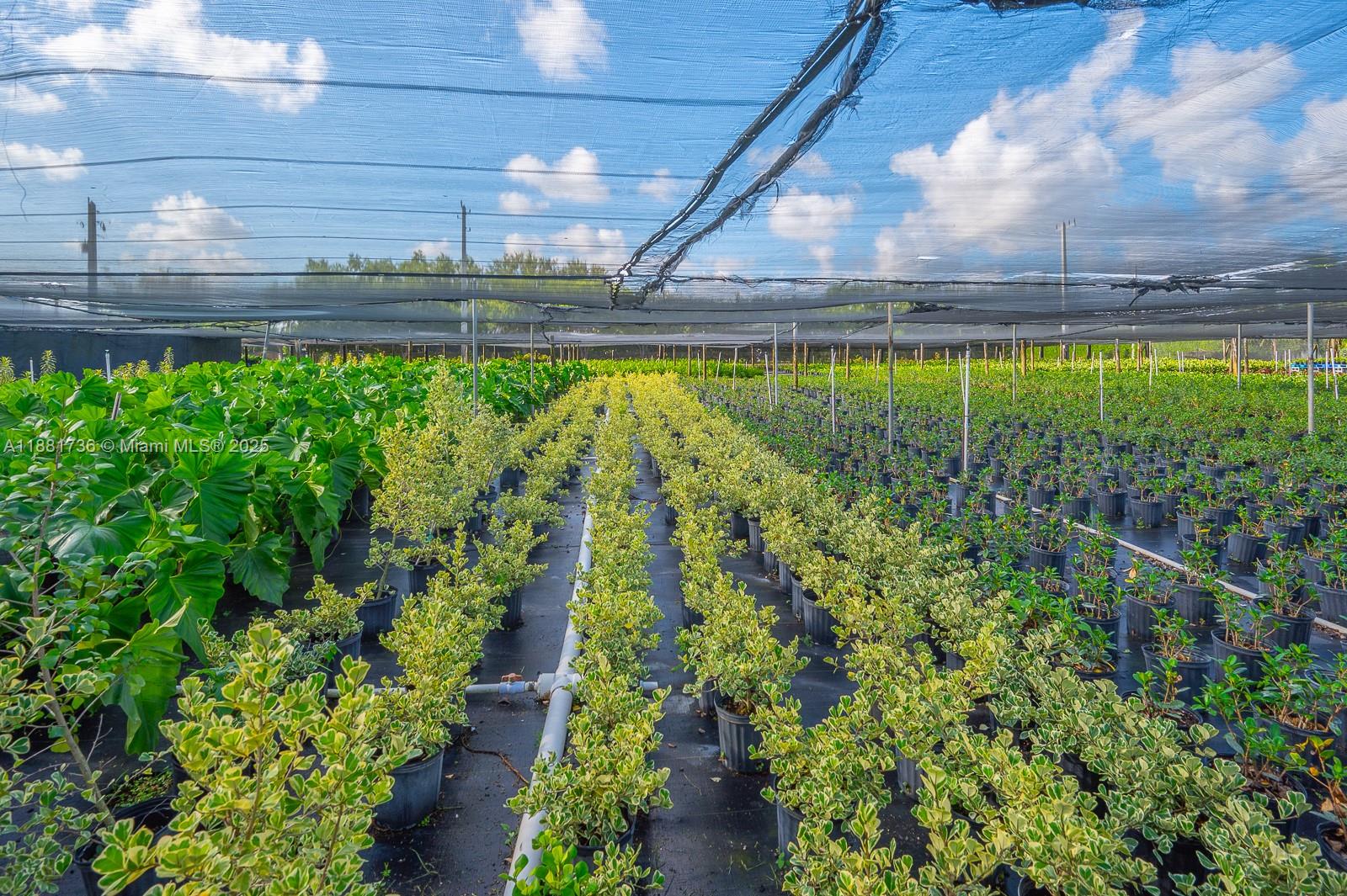 20750 SW 256th St Homestead, FL 33031