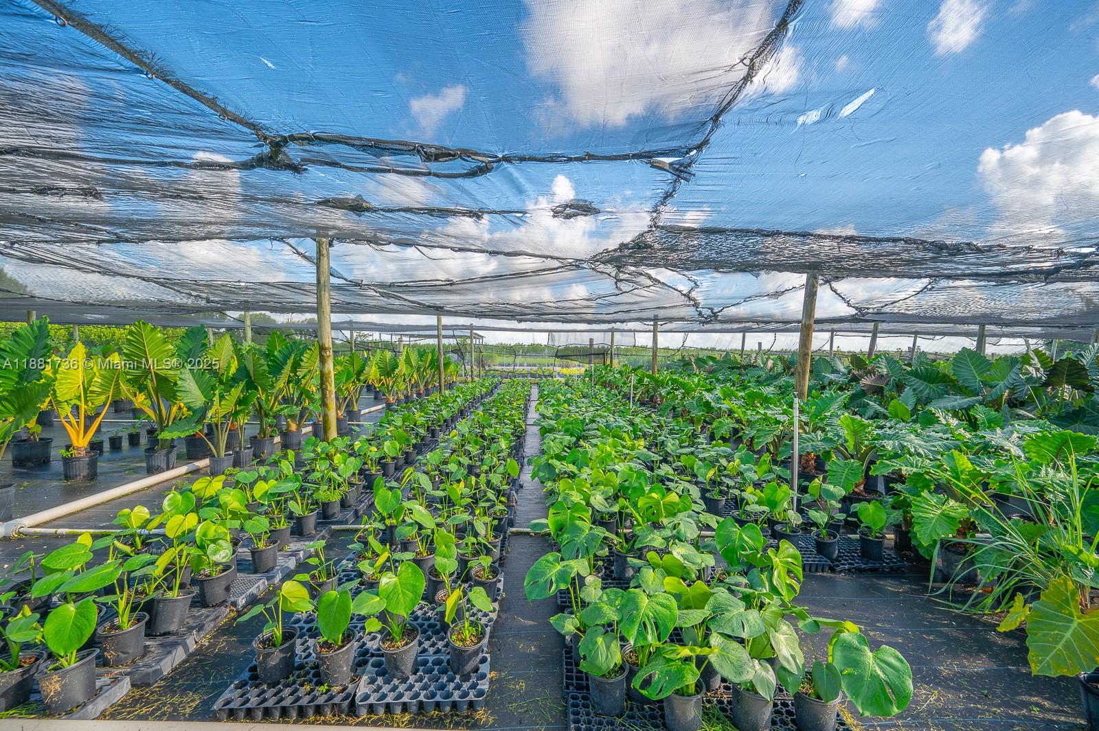 20750 SW 256th St Homestead, FL 33031