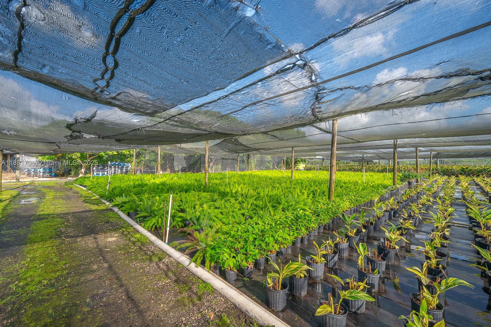 20750 SW 256th St Homestead, FL 33031