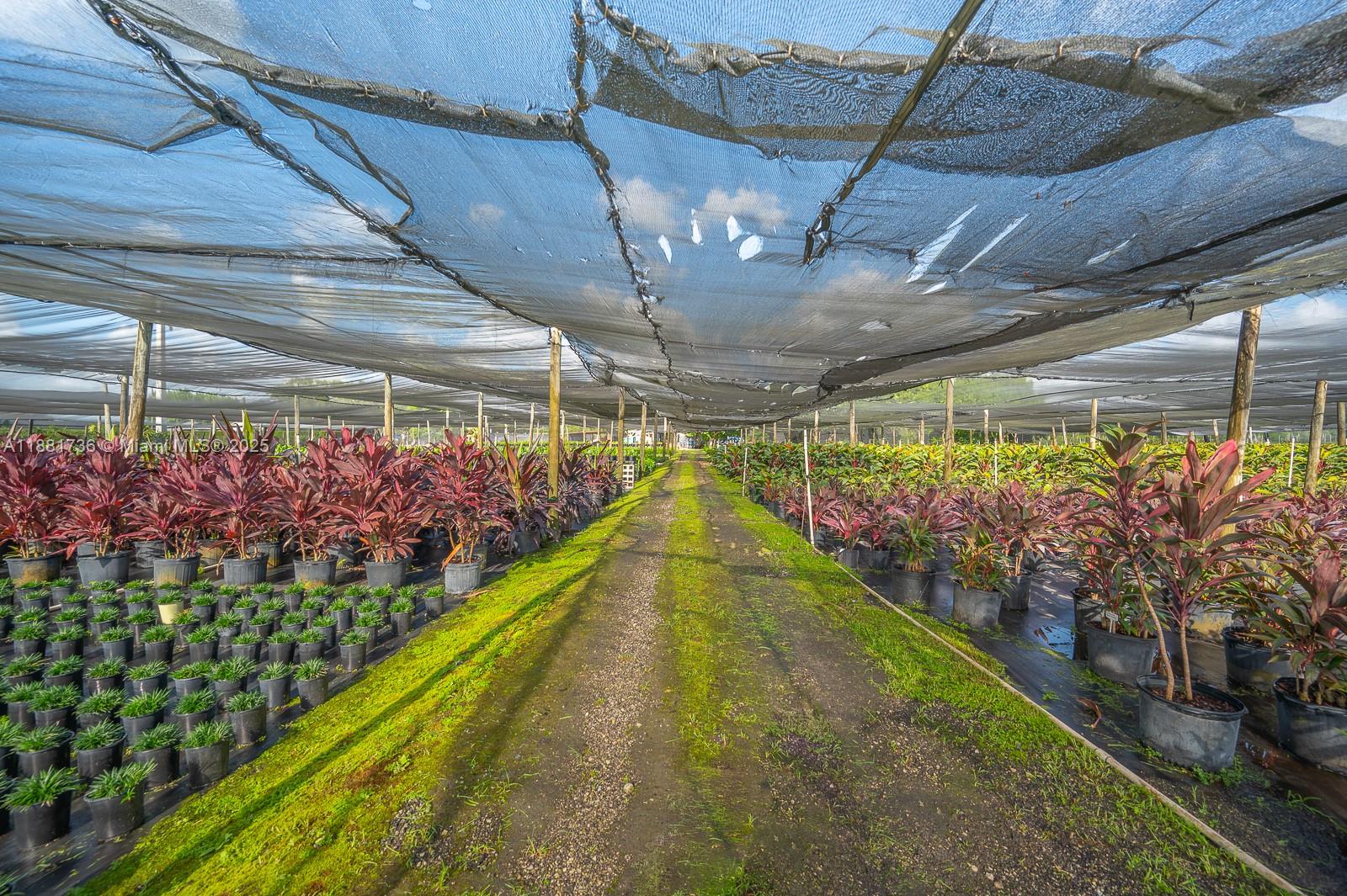 20750 SW 256th St Homestead, FL 33031