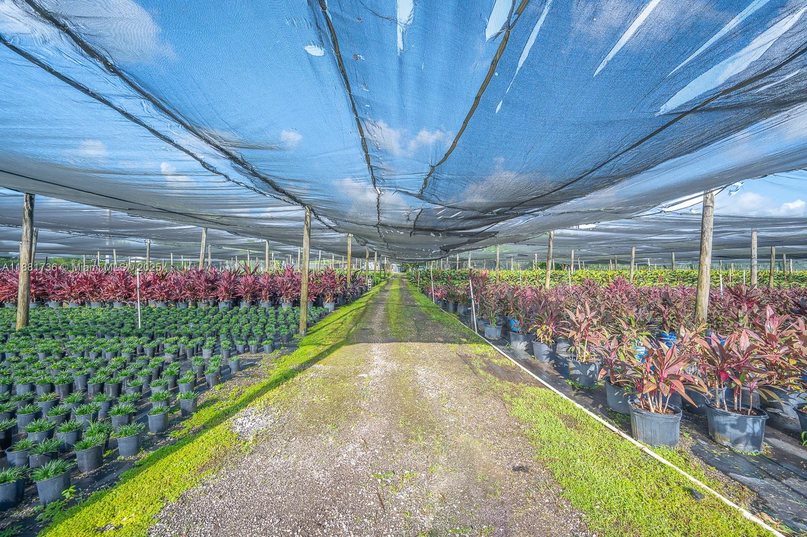 20750 SW 256th St Homestead, FL 33031