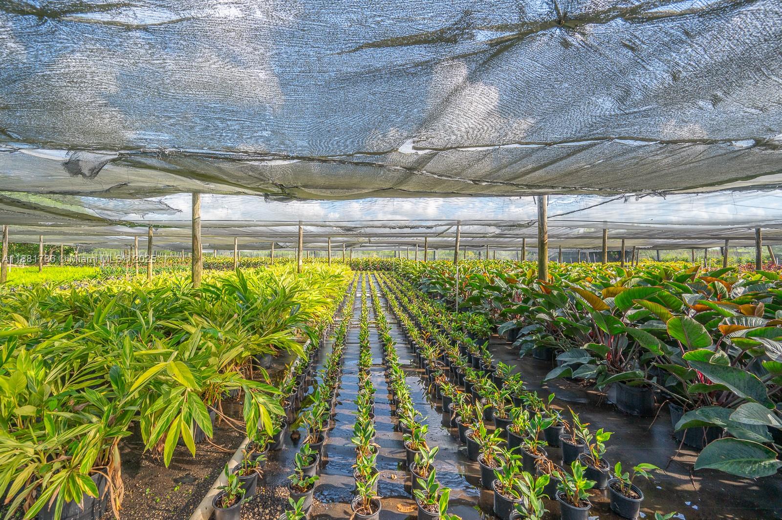 20750 SW 256th St Homestead, FL 33031