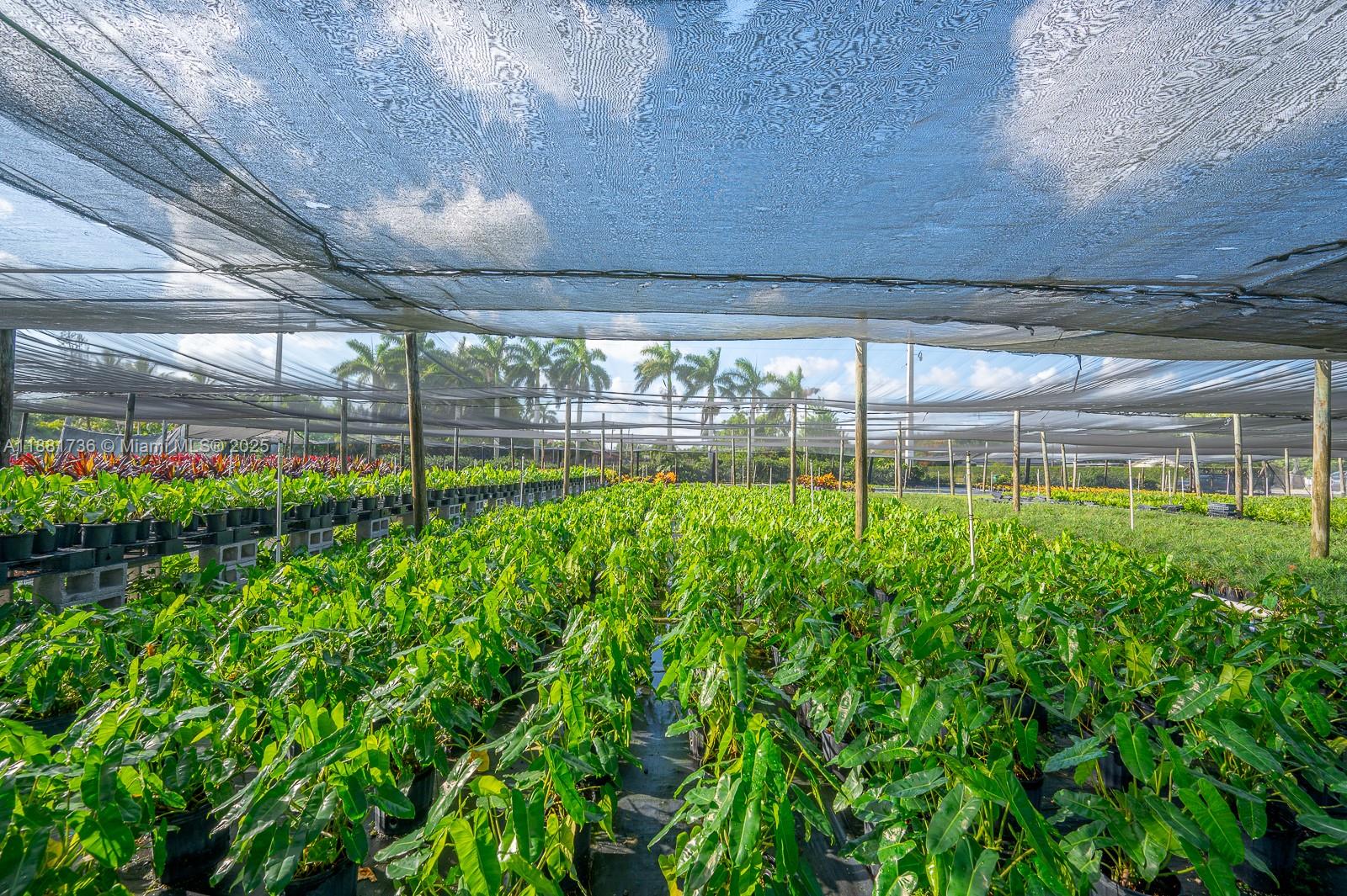 20750 SW 256th St Homestead, FL 33031