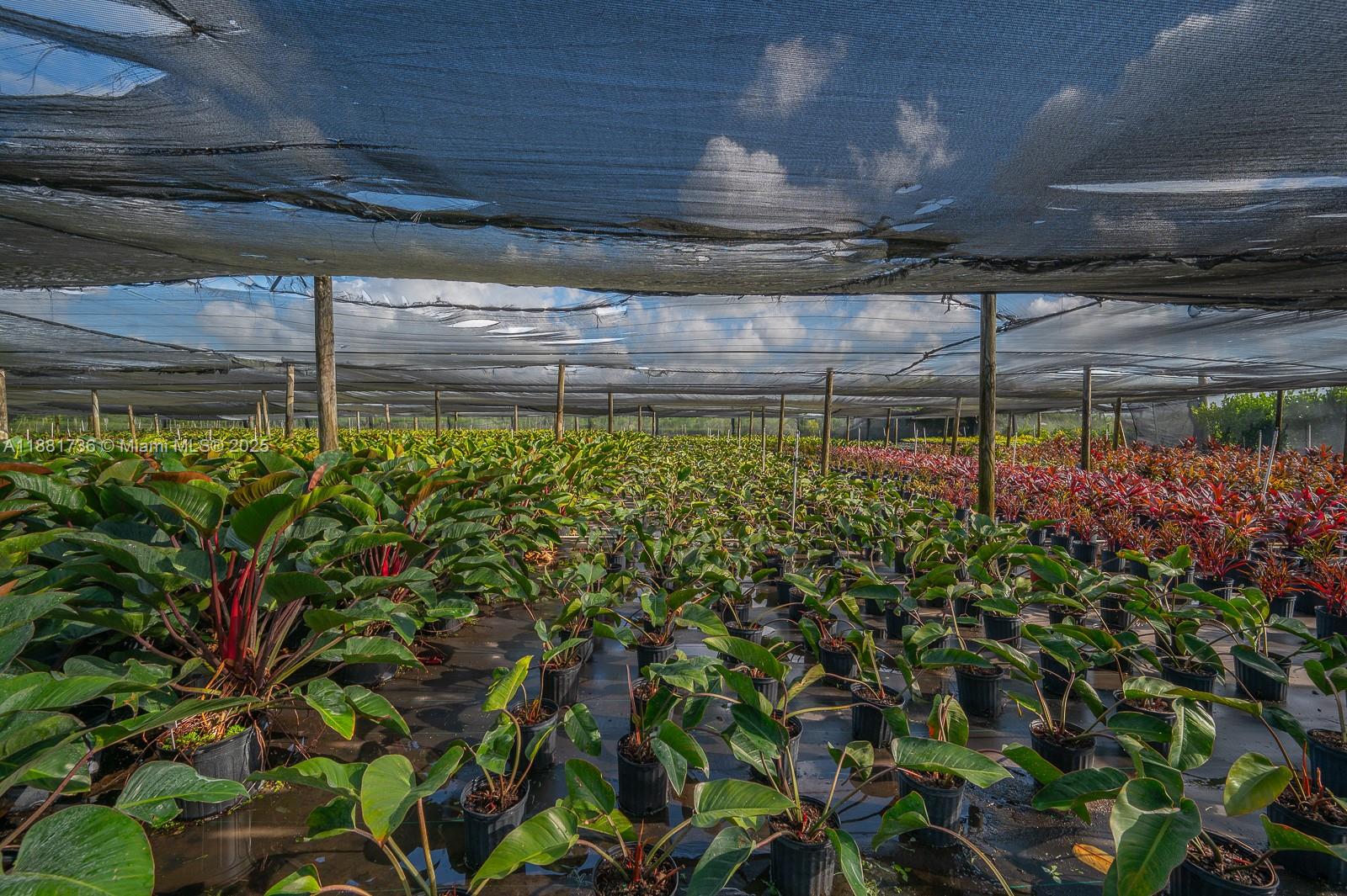 20750 SW 256th St Homestead, FL 33031