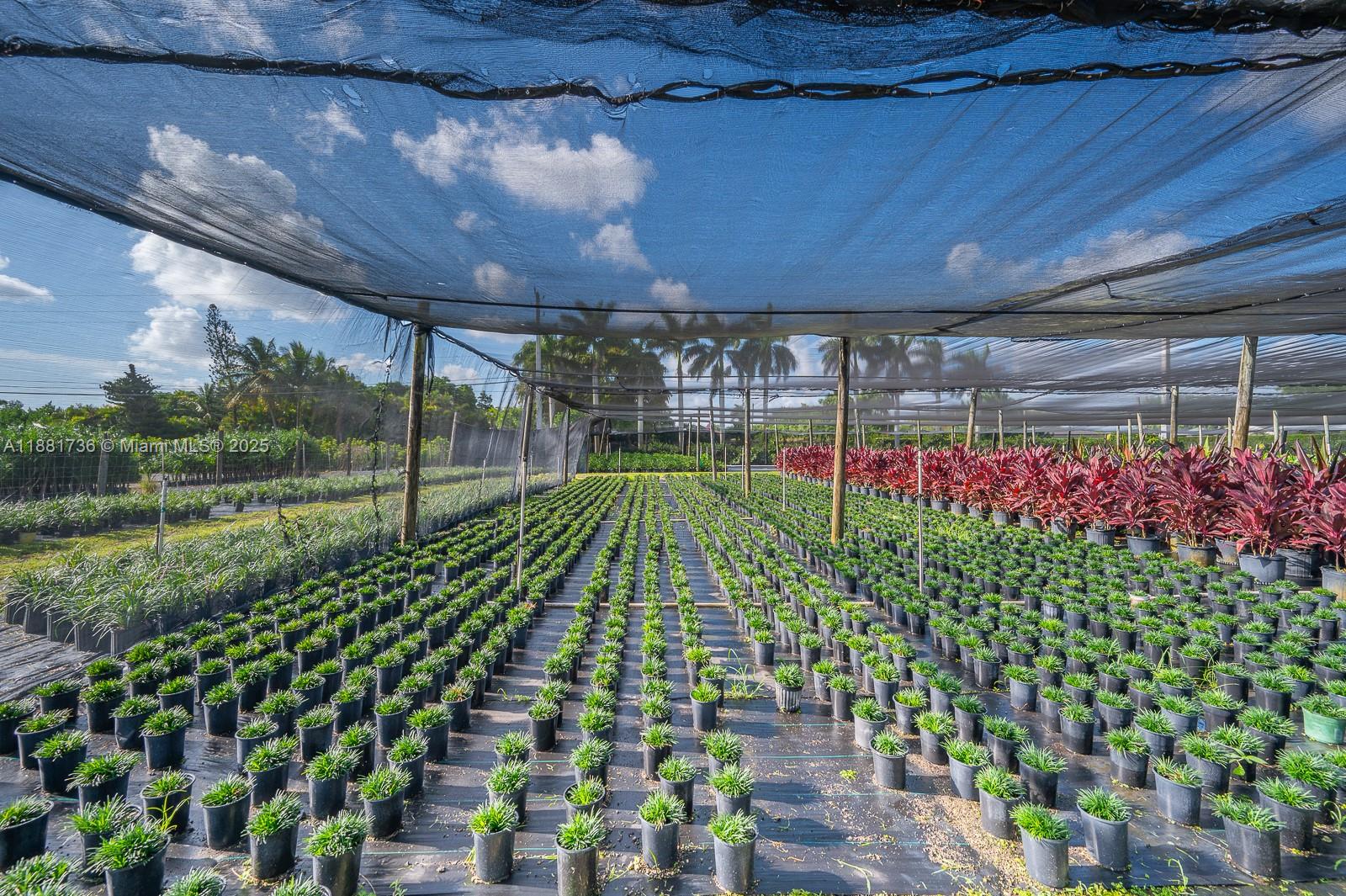 20750 SW 256th St Homestead, FL 33031