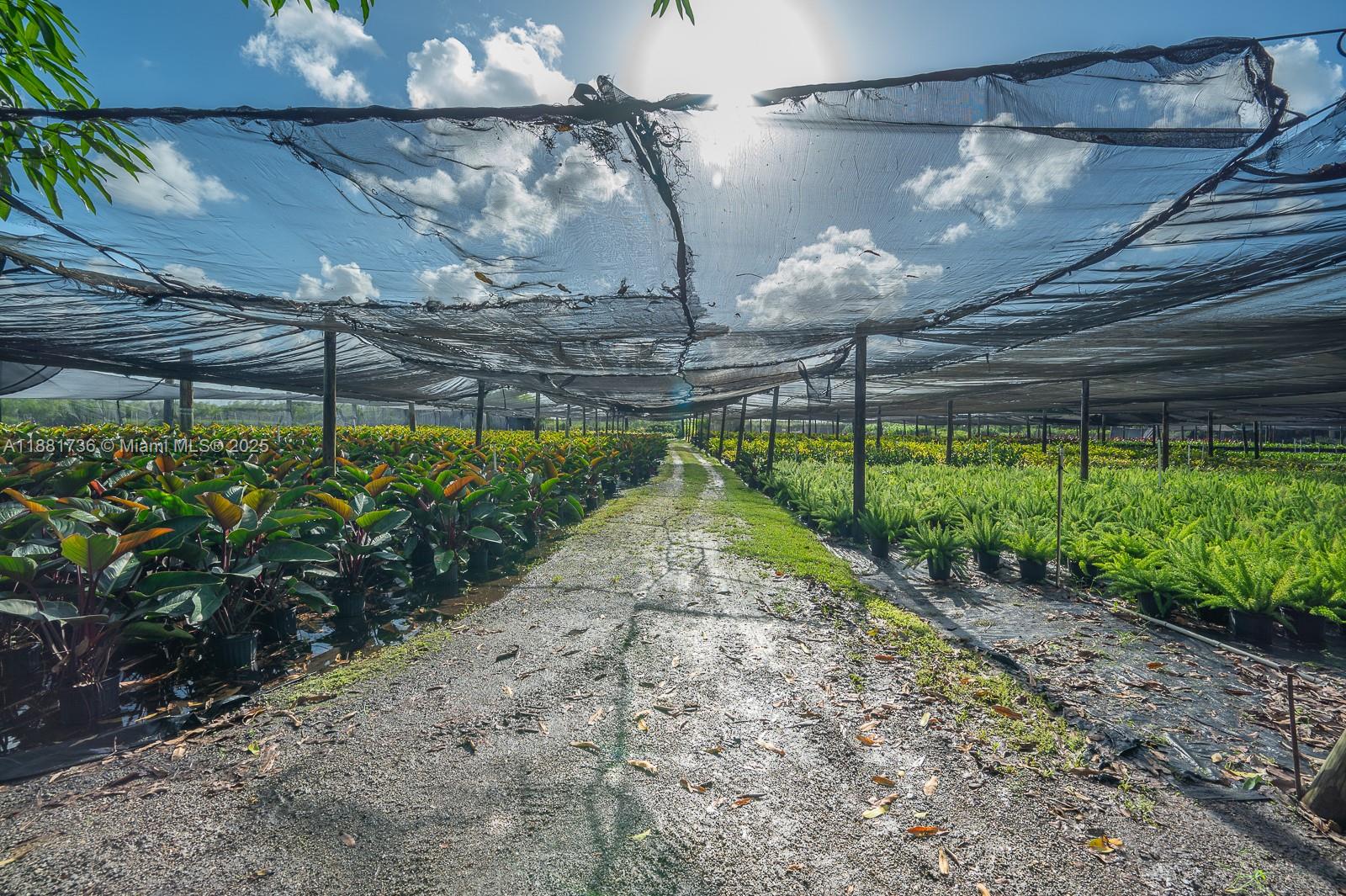 20750 SW 256th St Homestead, FL 33031