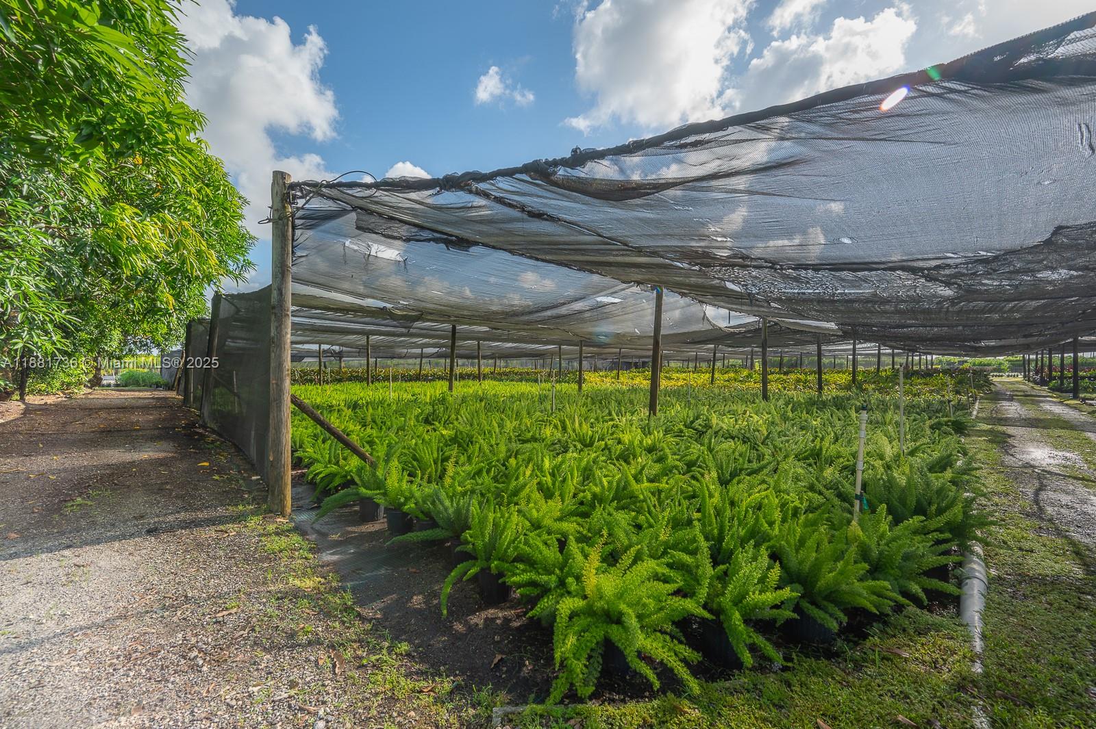 20750 SW 256th St Homestead, FL 33031