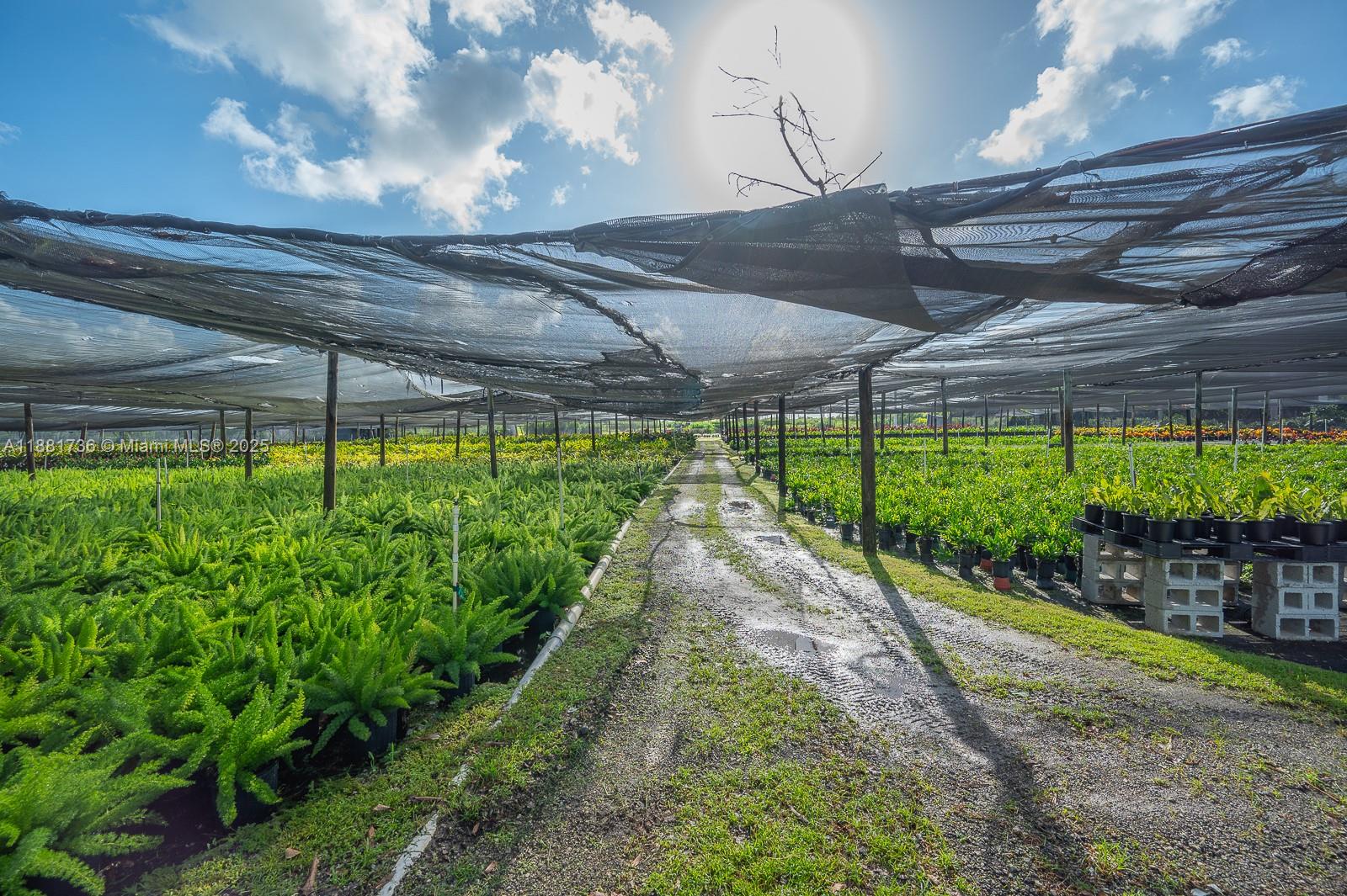 20750 SW 256th St Homestead, FL 33031