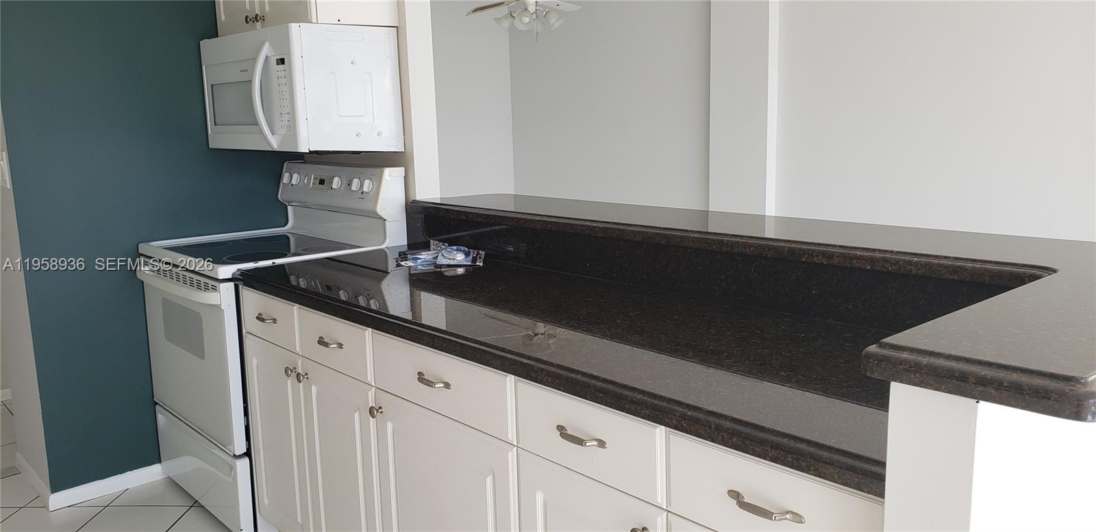 851 Three Iss Blvd #502 Hallandale Beach, FL 33009