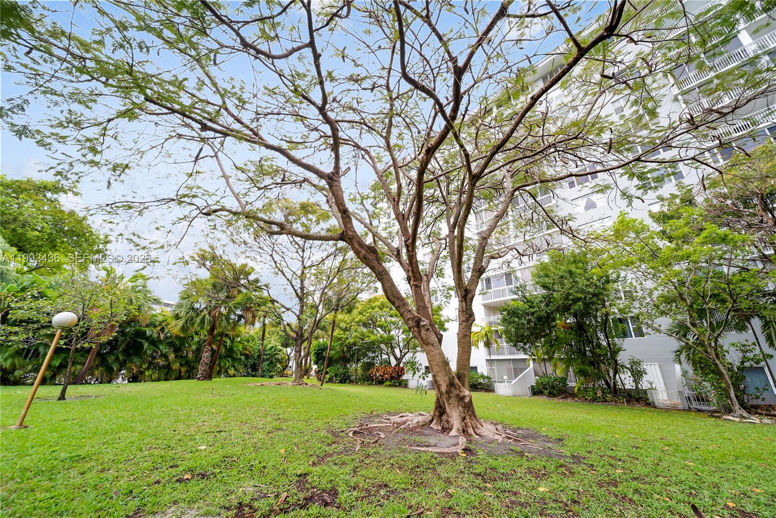 3800 Hillcrest Dr #1007 Hollywood, FL 33021