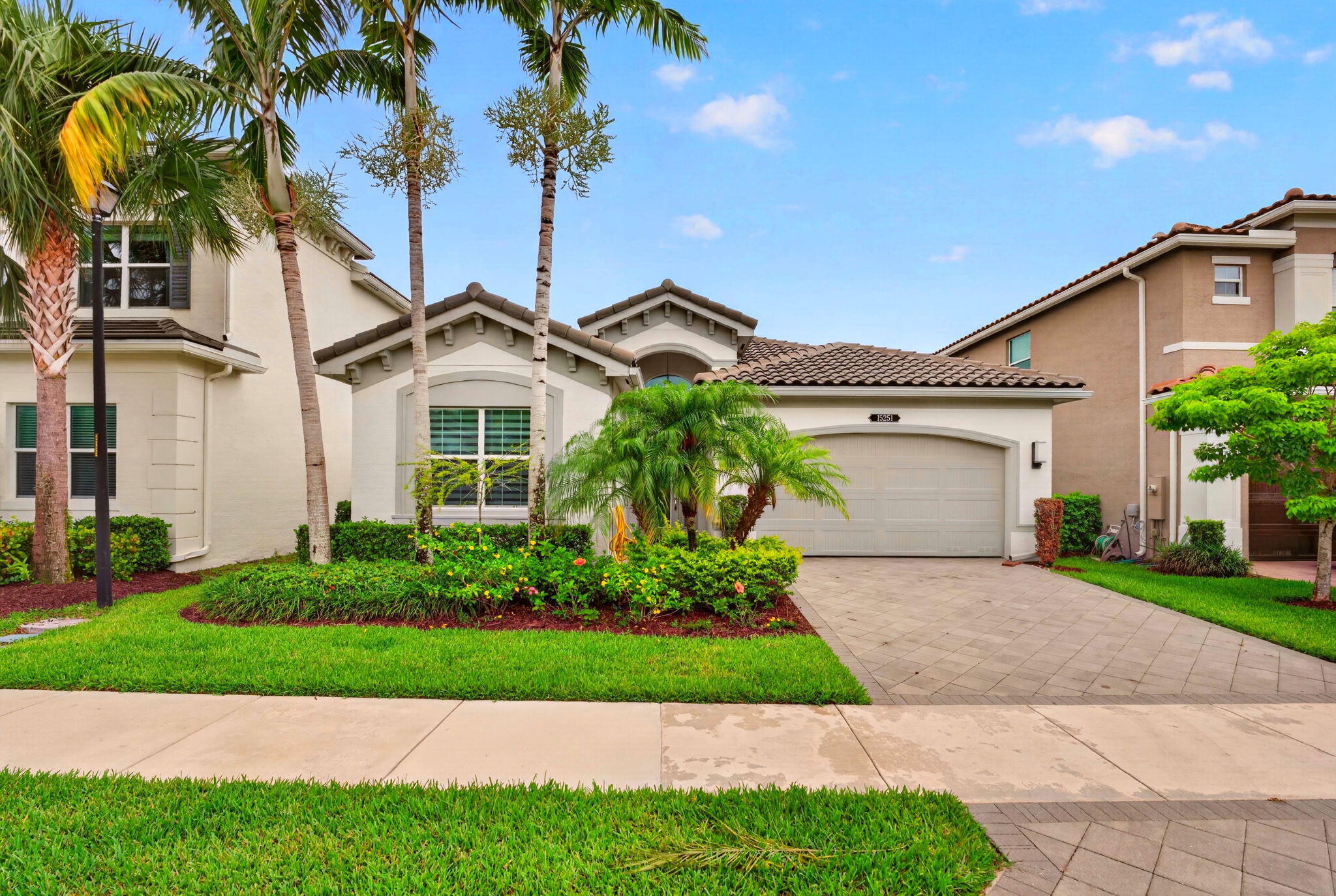 15251 Waterleaf