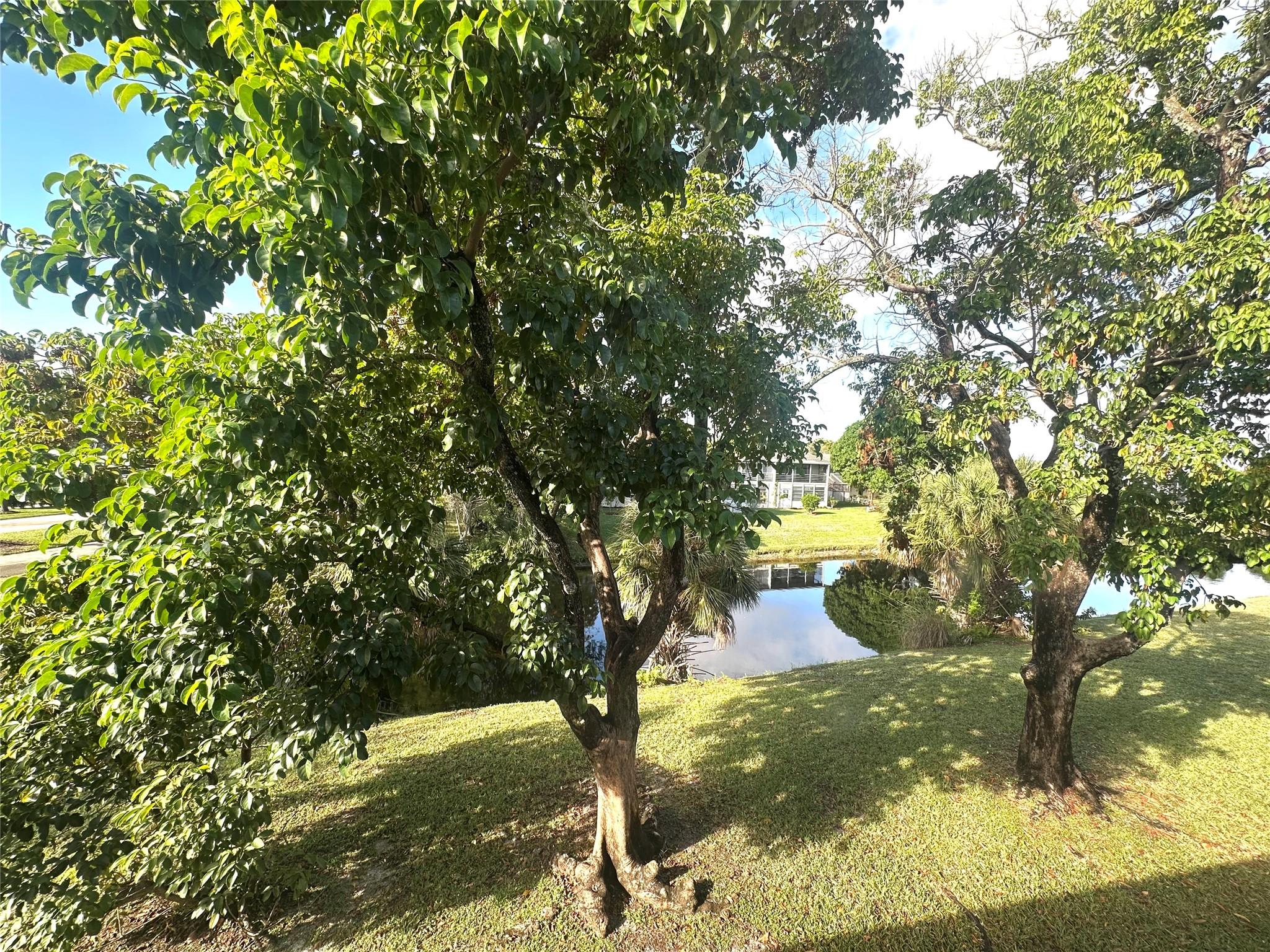 13 Lyndhurst A #13 Deerfield Beach, FL 33442