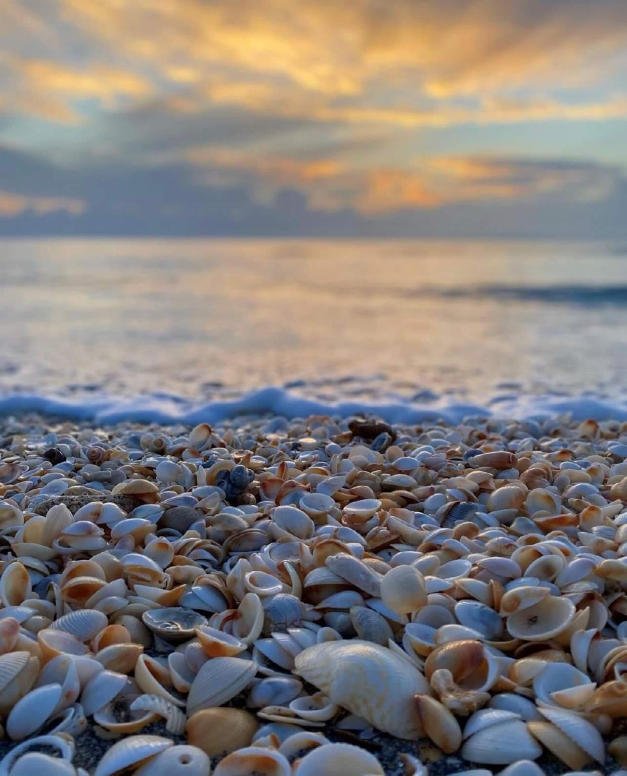 1801 S Us Hwy 1 #6a Jupiter, FL 33477