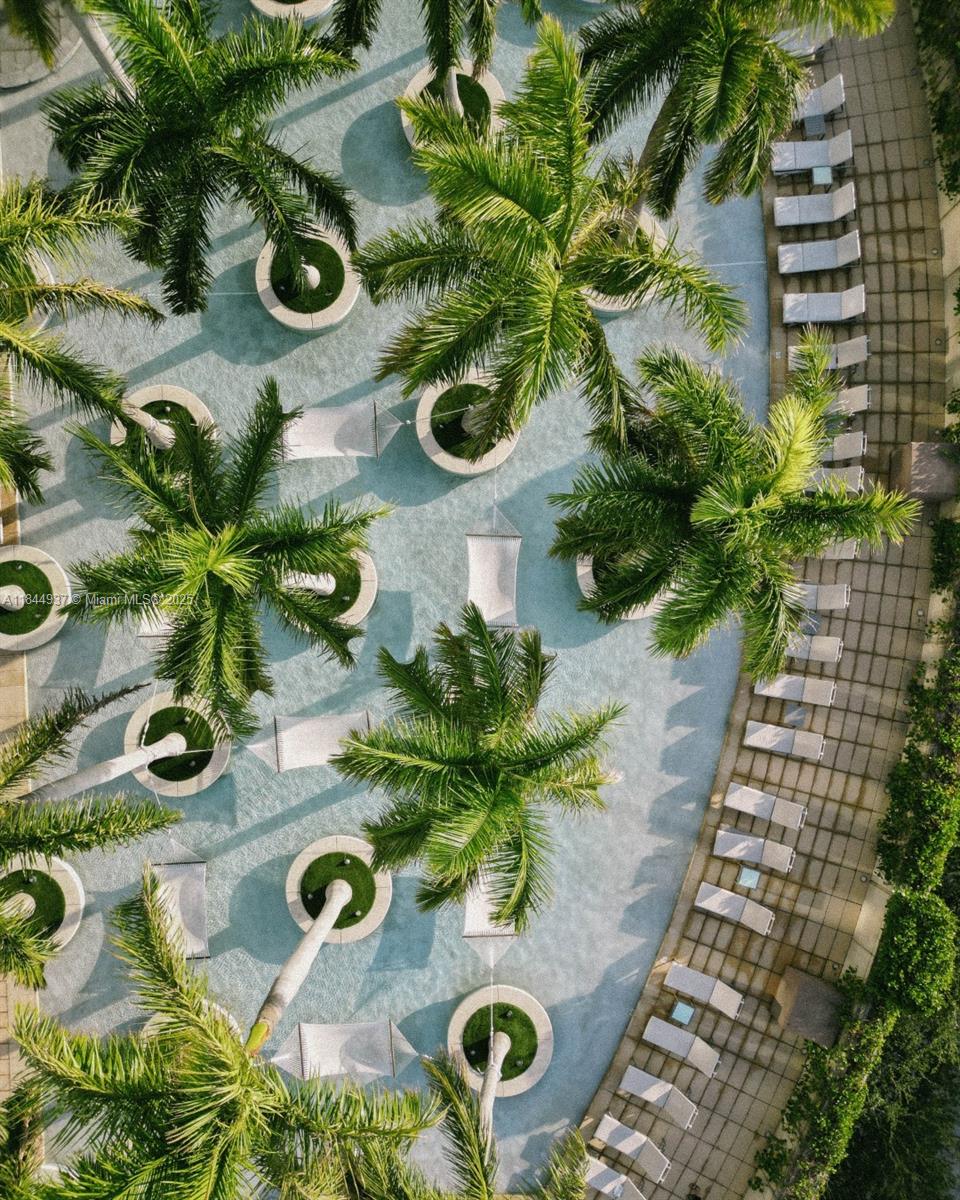 1435 Brickell Ave #3005 Miami, FL 33131