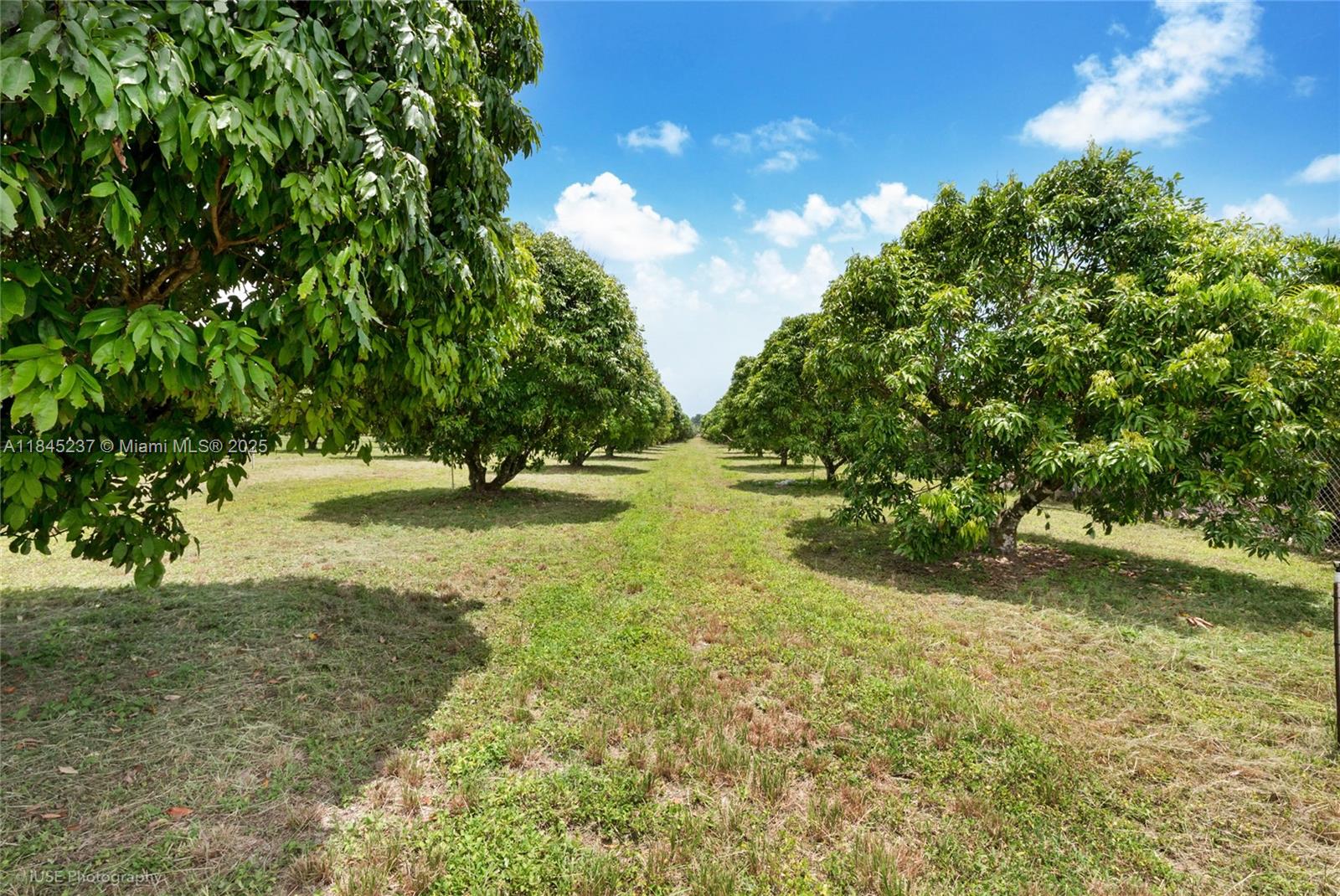 Undisclosed Address Miami, FL 33177