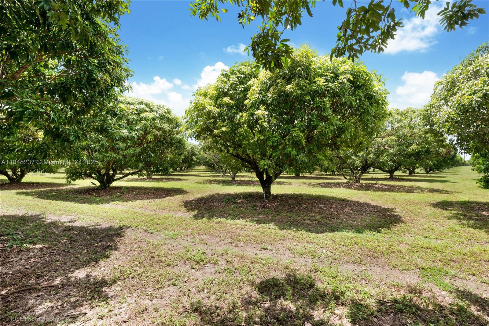 Undisclosed Address Miami, FL 33177