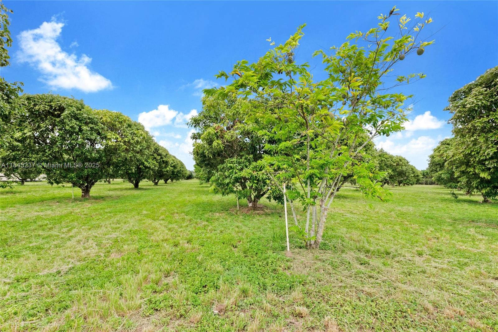 Undisclosed Address Miami, FL 33177