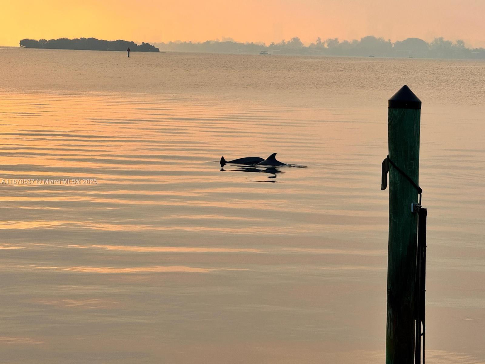 9301 N Bayshore Dr Miami Shores, FL 33138 9301 N Bayshore Dr Miami Shores, FL 33138