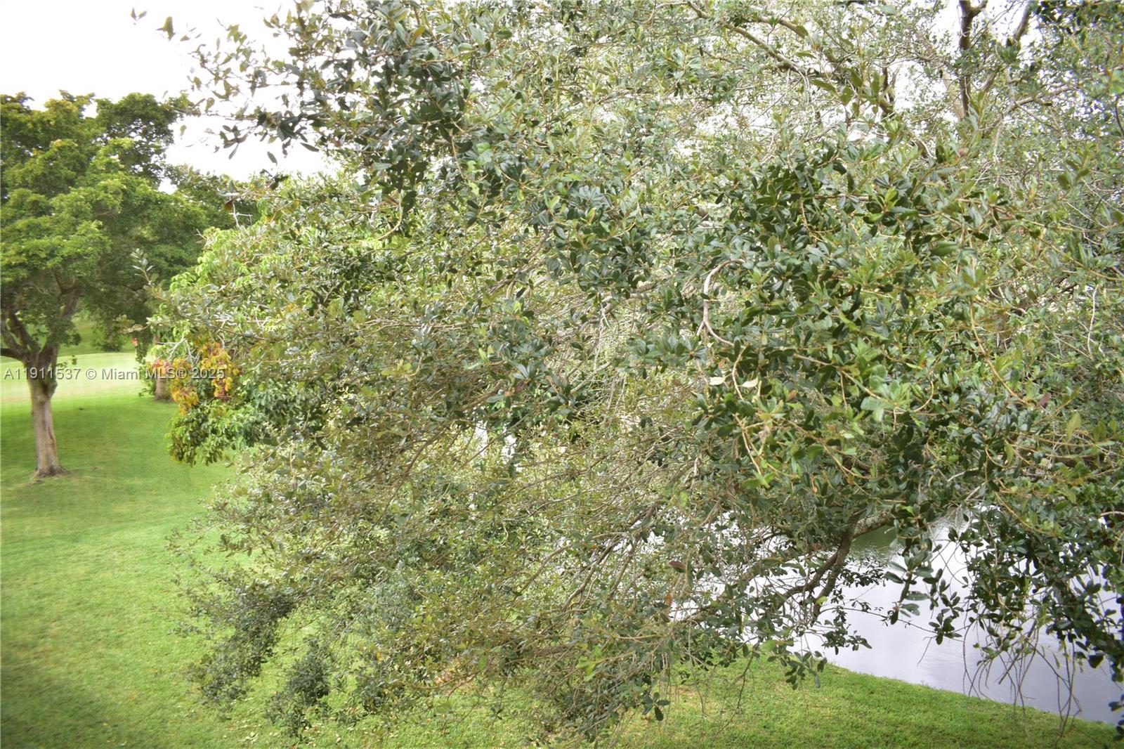 9301 Sunrise Lks Blvd #303