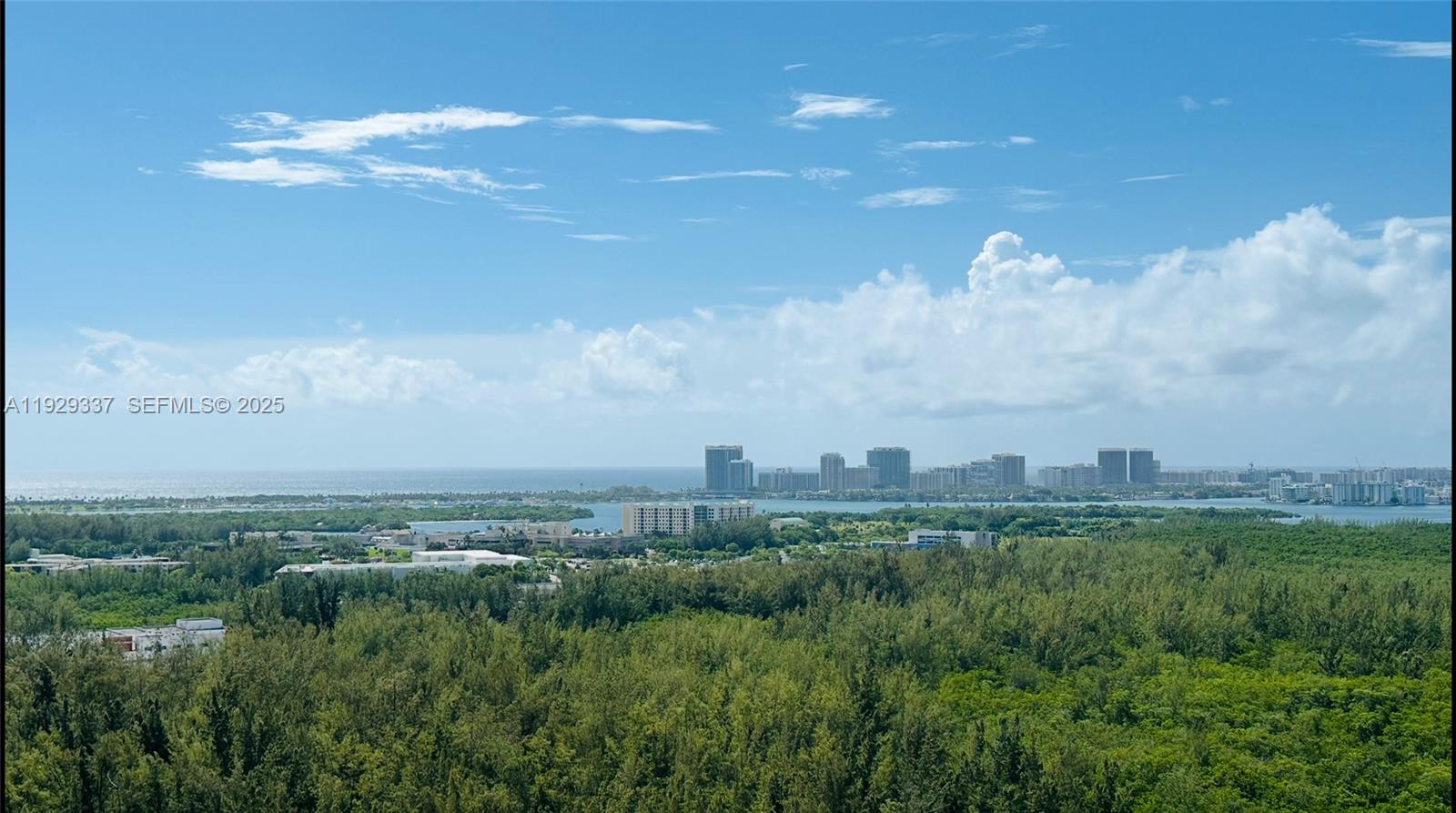 14951 Royal Oaks Ln #1801