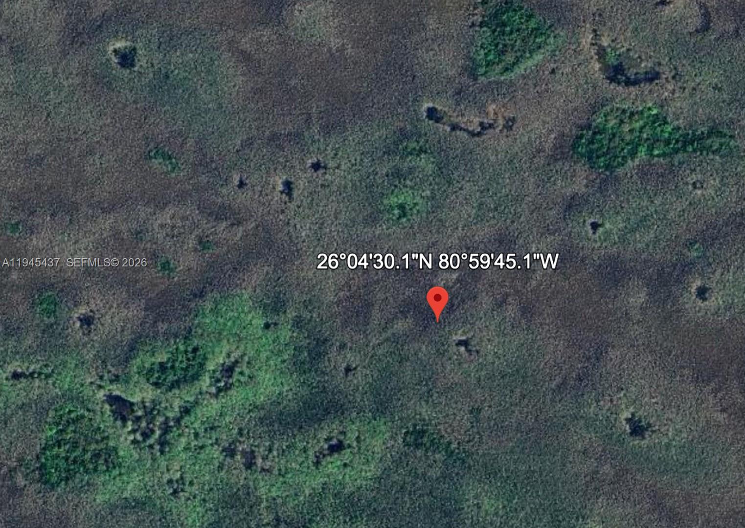 Unknown Other, FL 34141