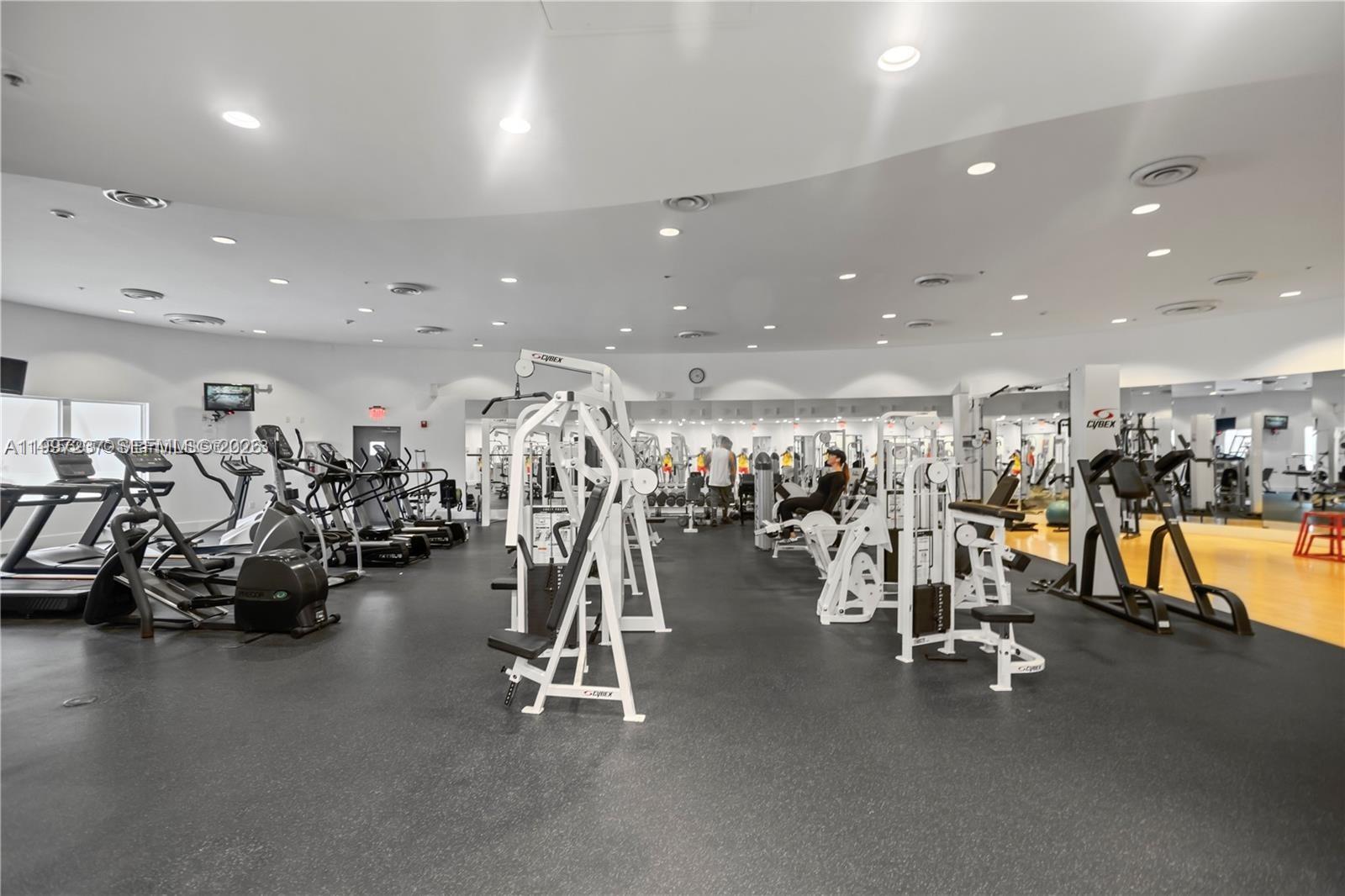 5600 Collins Ave #16N Miami Beach, FL 33140