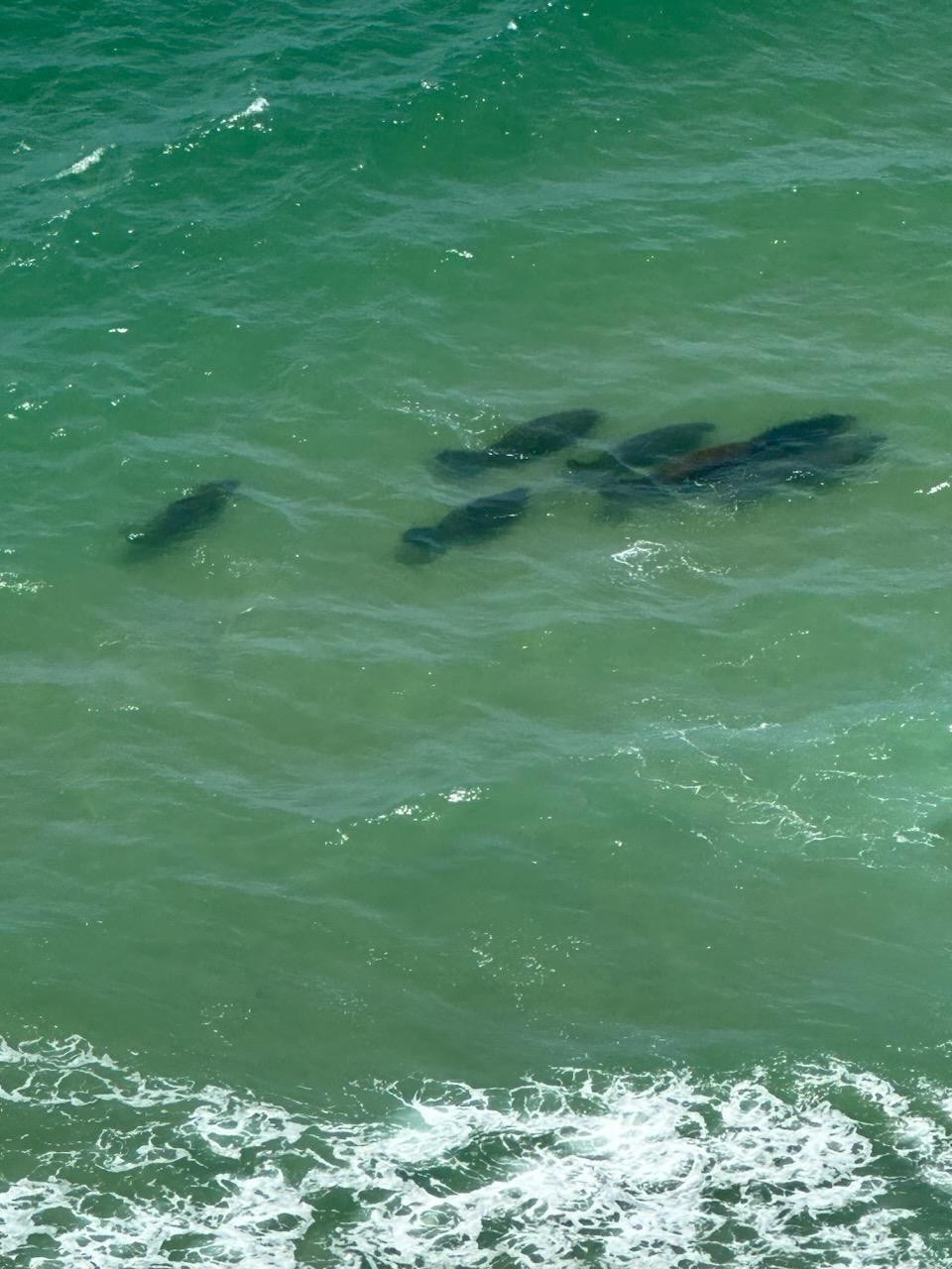 4280 Galt Ocean #29C Fort Lauderdale, FL 33308