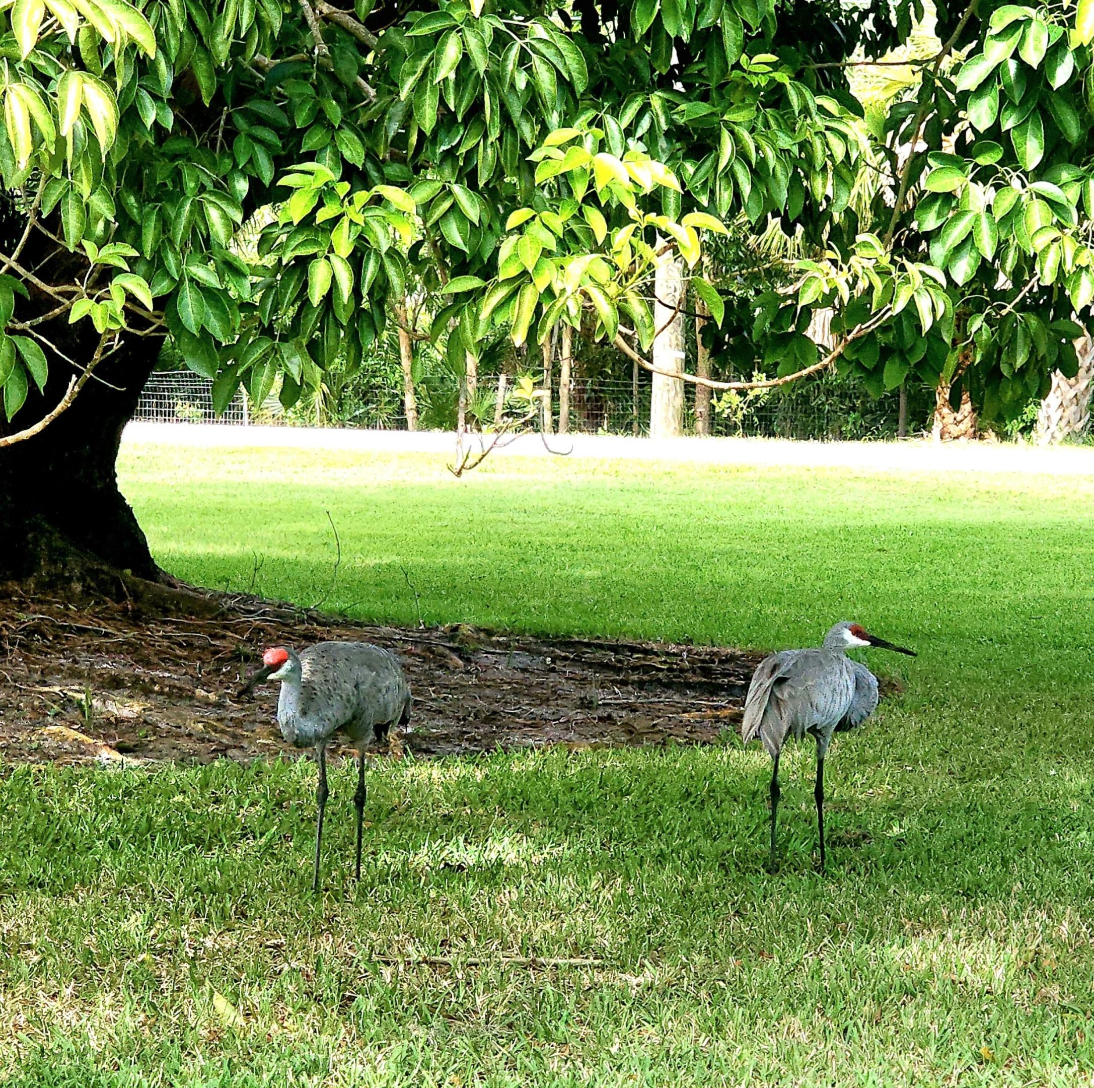 18081 SE Country Clb Dr #13-125 Jupiter, FL 33469