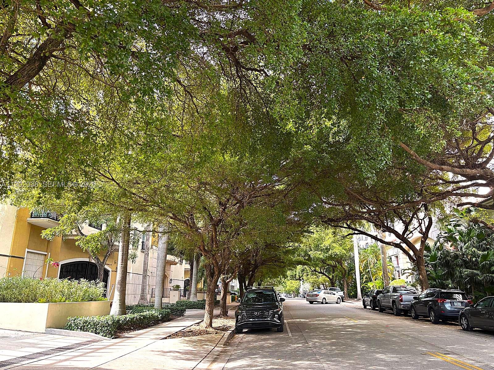 20 Calabria Ave #505 Coral Gables, FL 33134