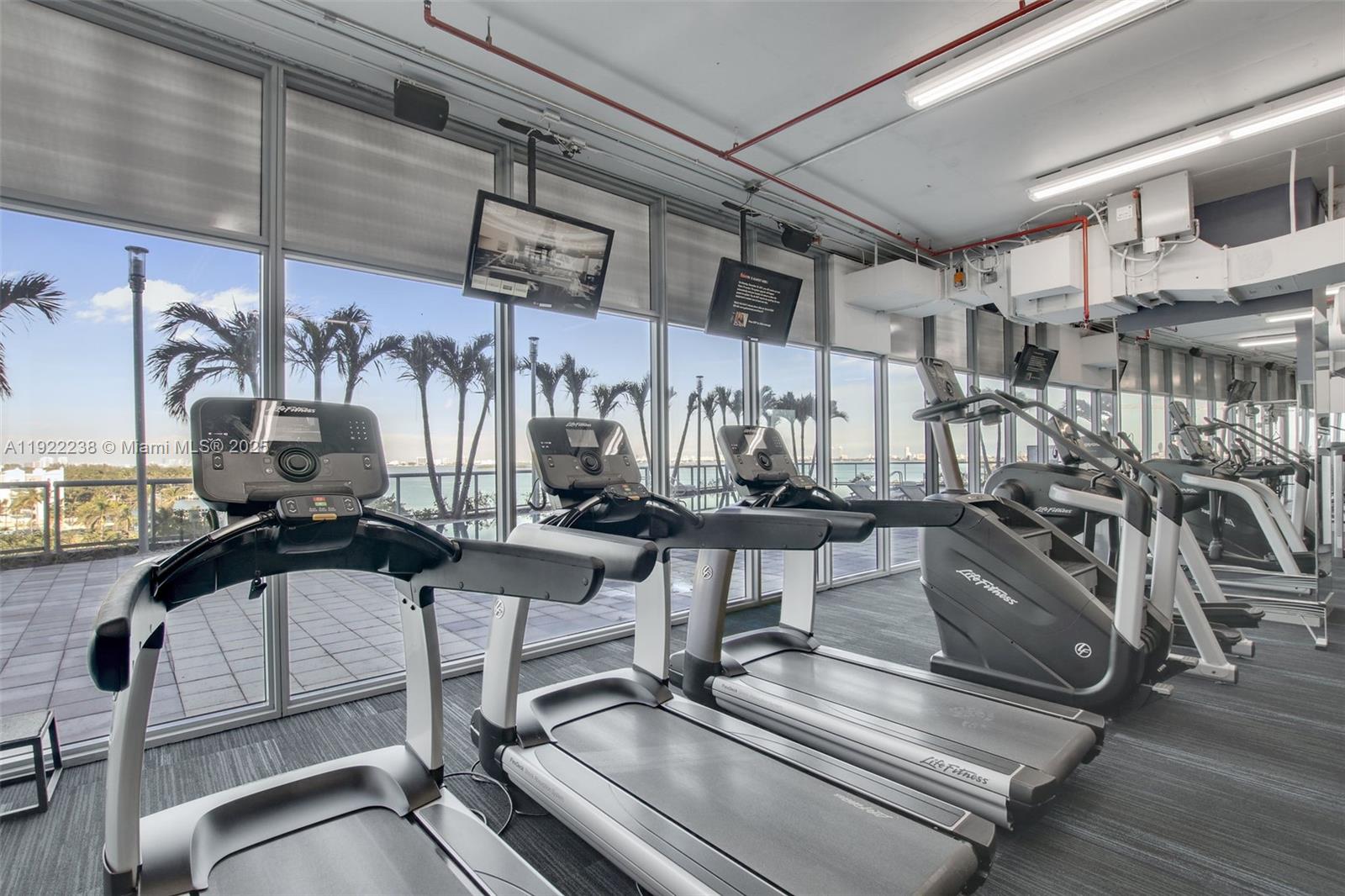 image Blue on the Bay31