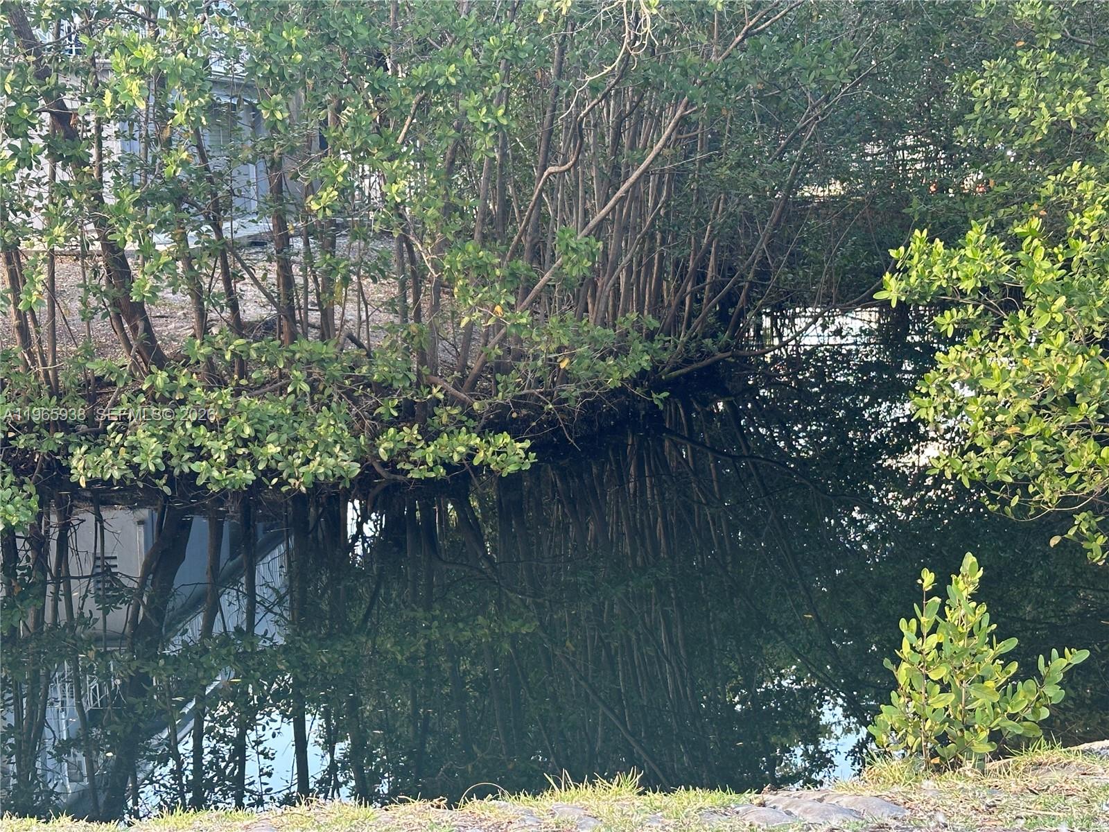 12590 NE 16th Ave #509