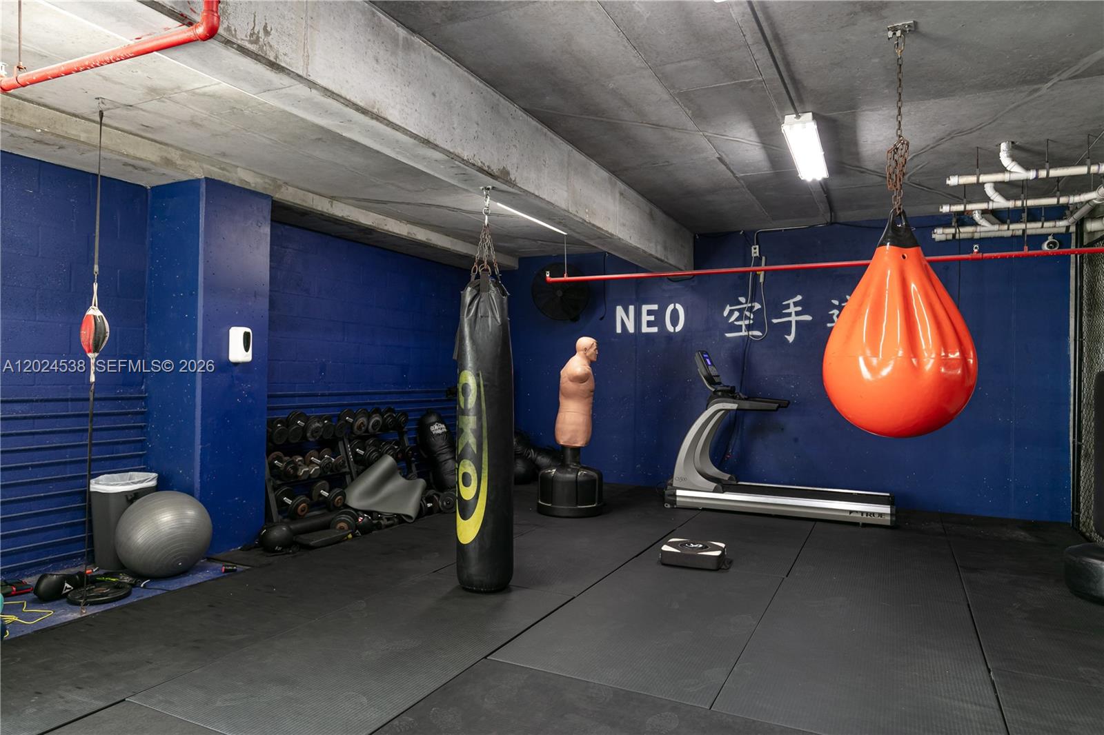 image Neo Vertika34