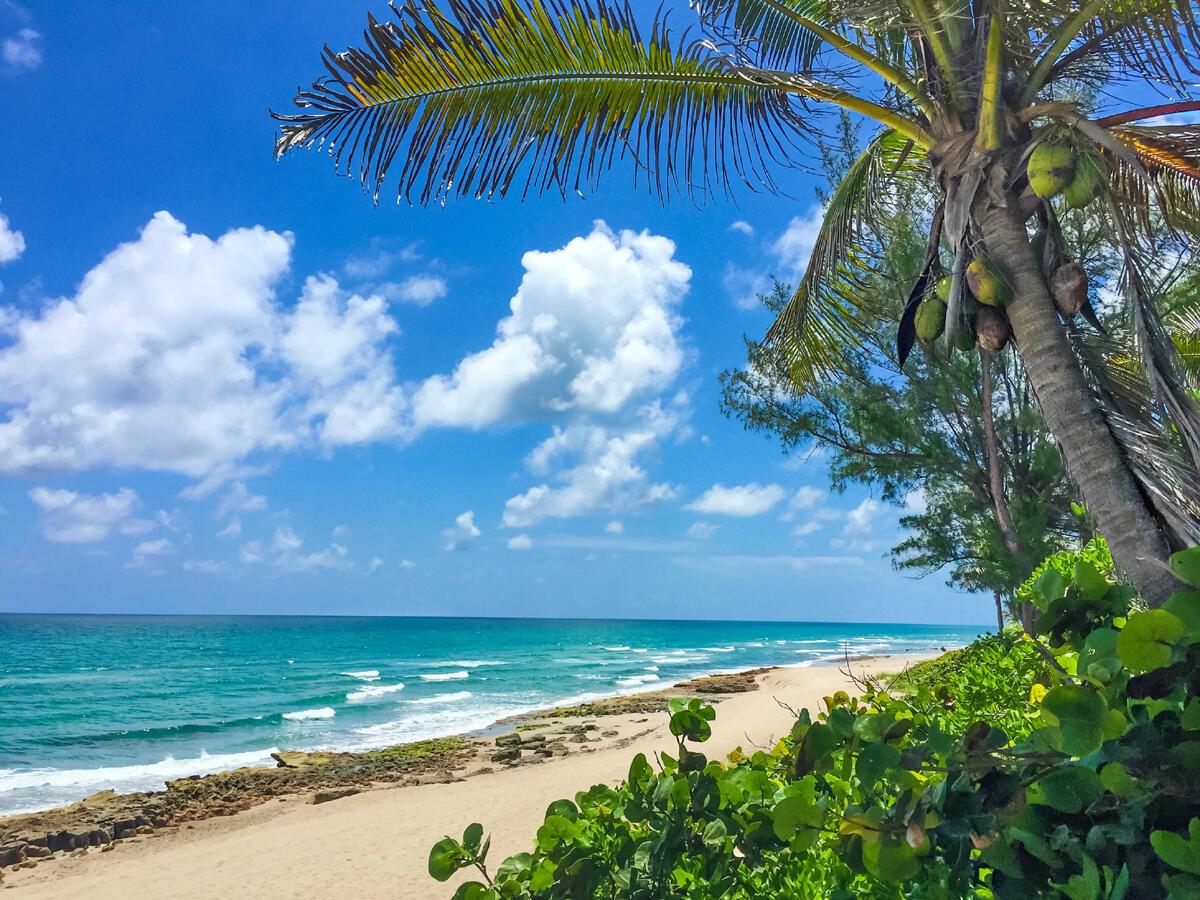 12423 Banyan Rd North Palm Beach, FL 33408