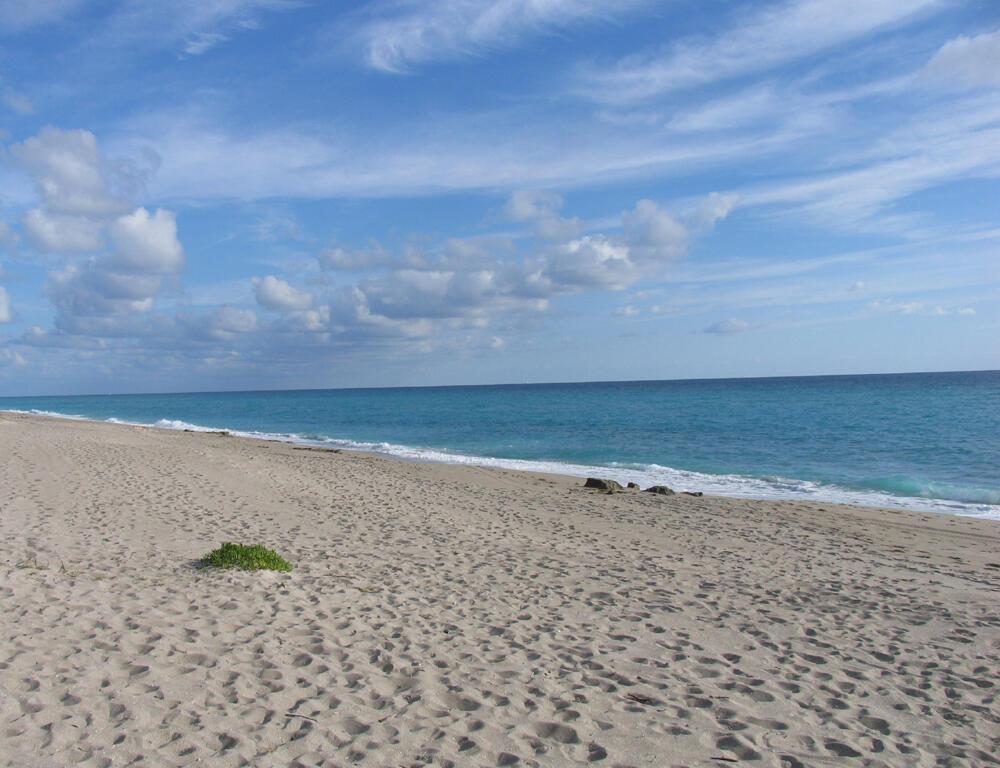 12423 Banyan Rd North Palm Beach, FL 33408