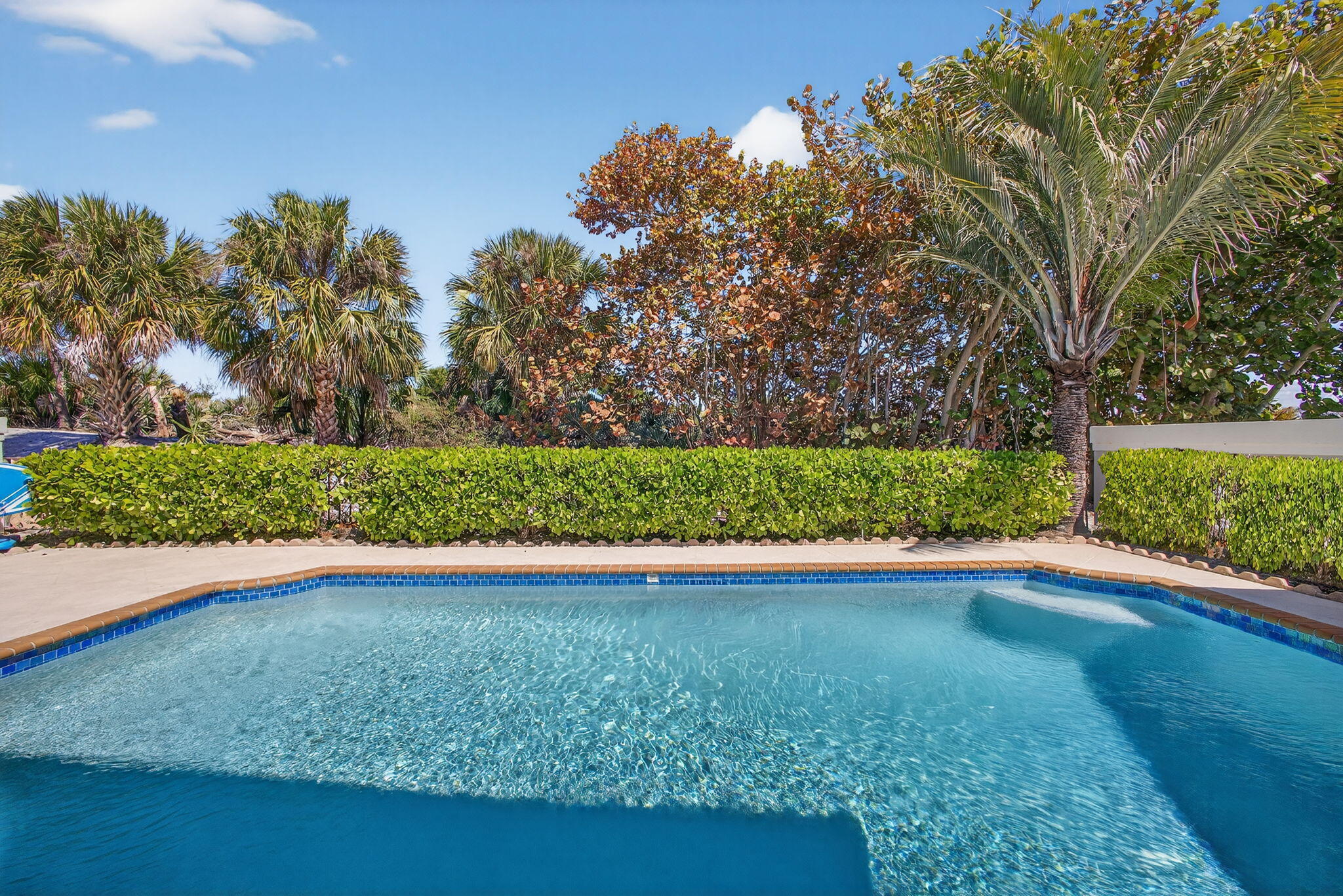 239 Ridge Jupiter, FL 33477