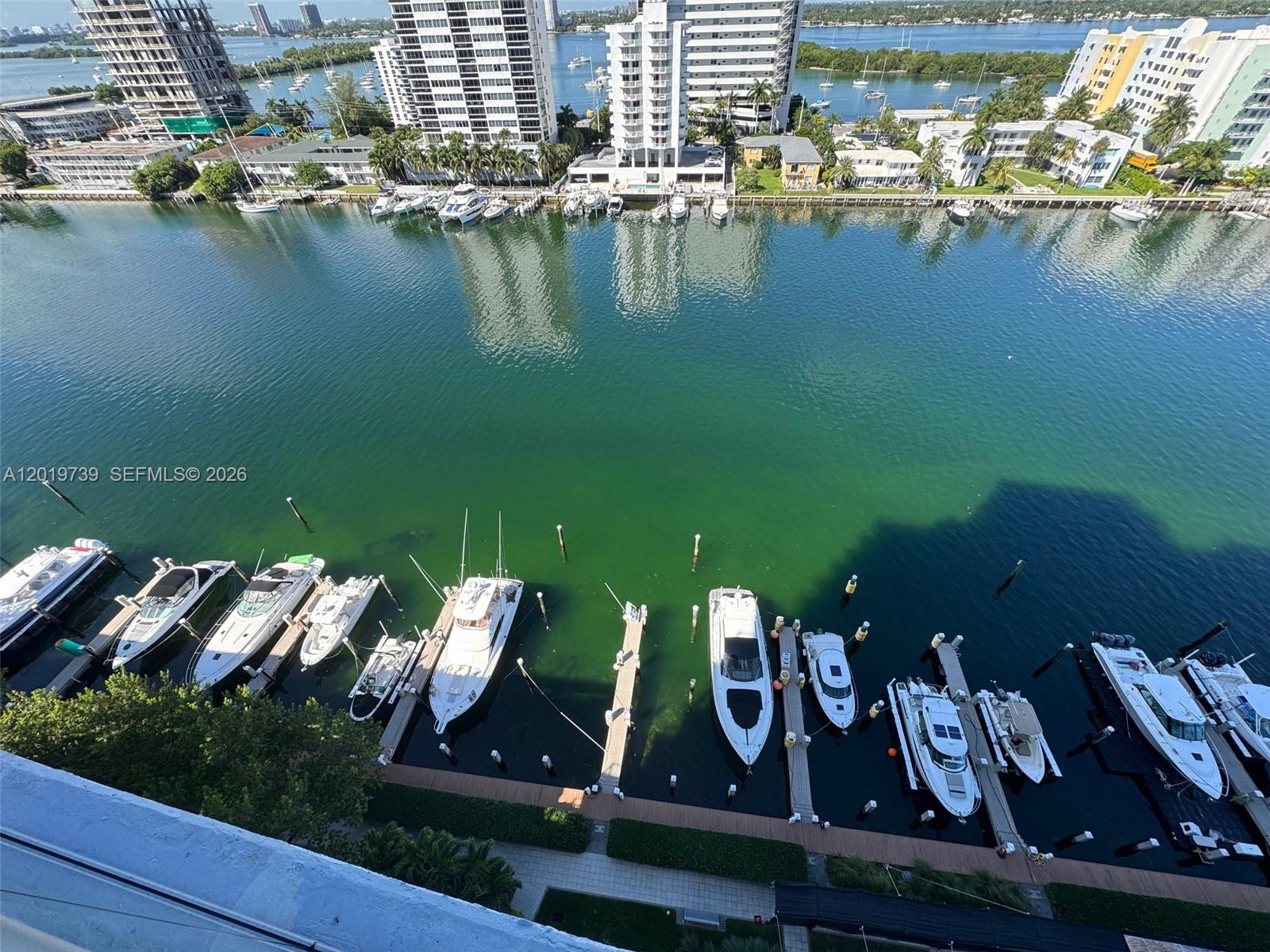image Eloquence on the Bay23