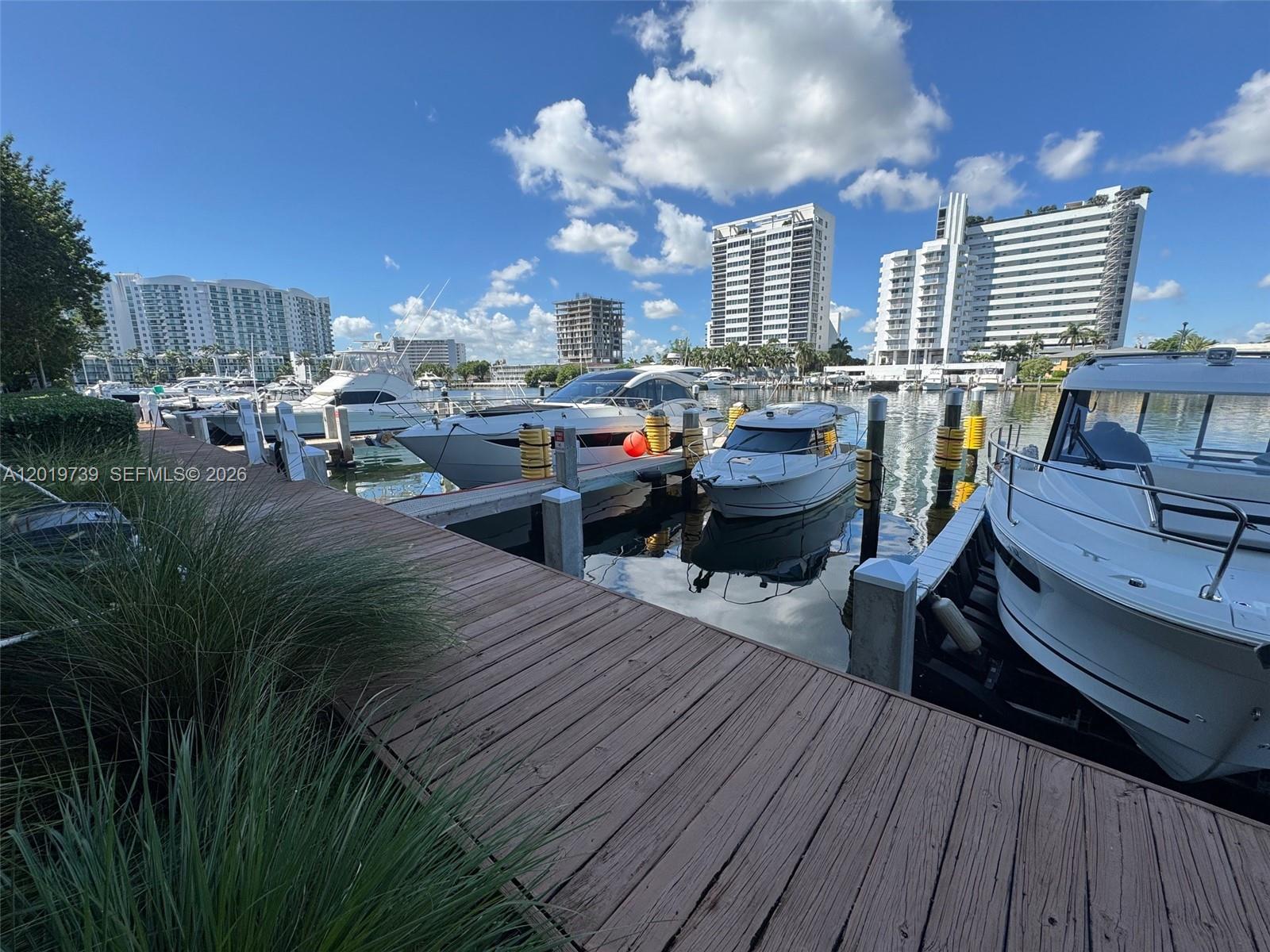 image Eloquence on the Bay25