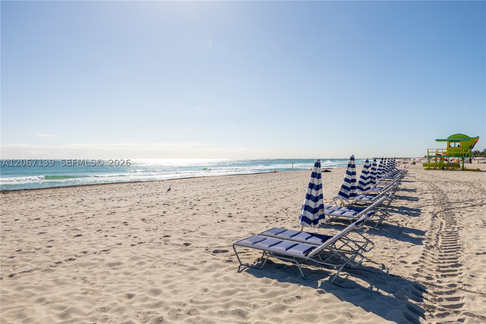 401 Ocean Dr #316 Miami Beach, FL 33139