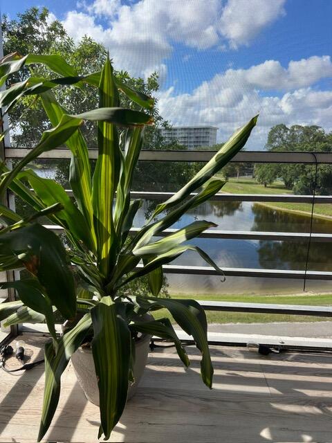 2751 N Palm Aire #402
