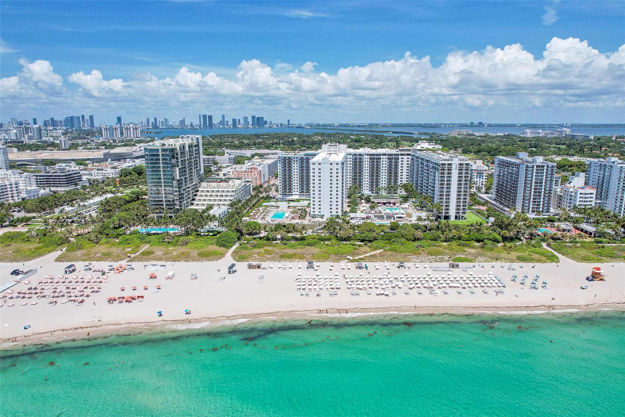 image Roney Palace38