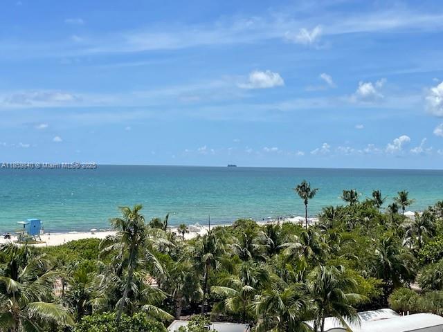 5313 Collins Ave #710