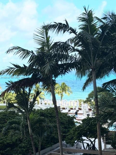 2301 Collins Ave #621 Miami Beach, FL 33139