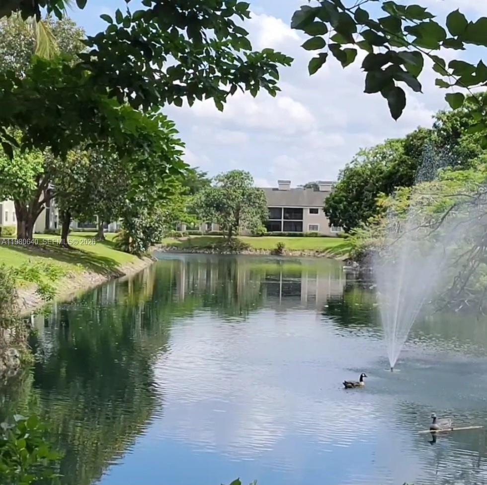 3979 NW 87th Ave #3979 Sunrise, FL 33351