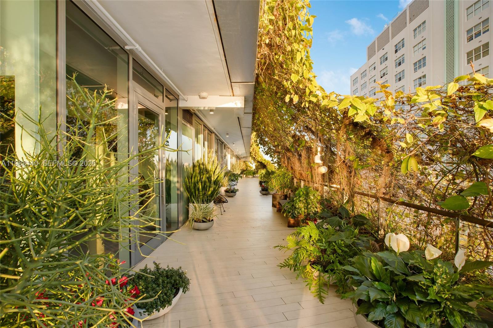 image Monad Terrace33